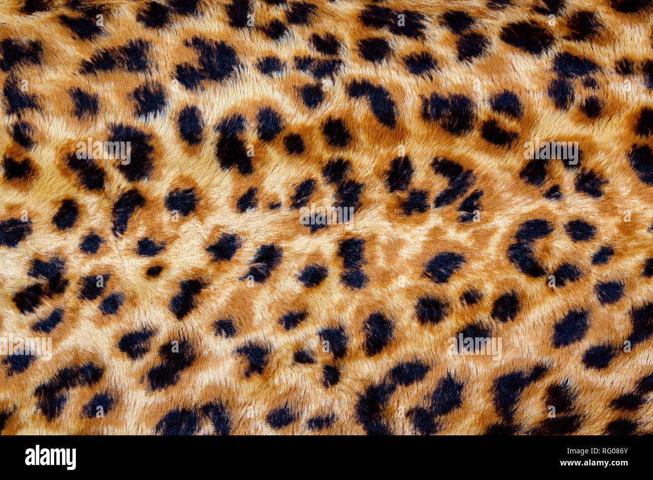 Moda Leopard Seamless Pattern. Stilizzata Spotted Leopard Sfondo della pelle Foto Stock