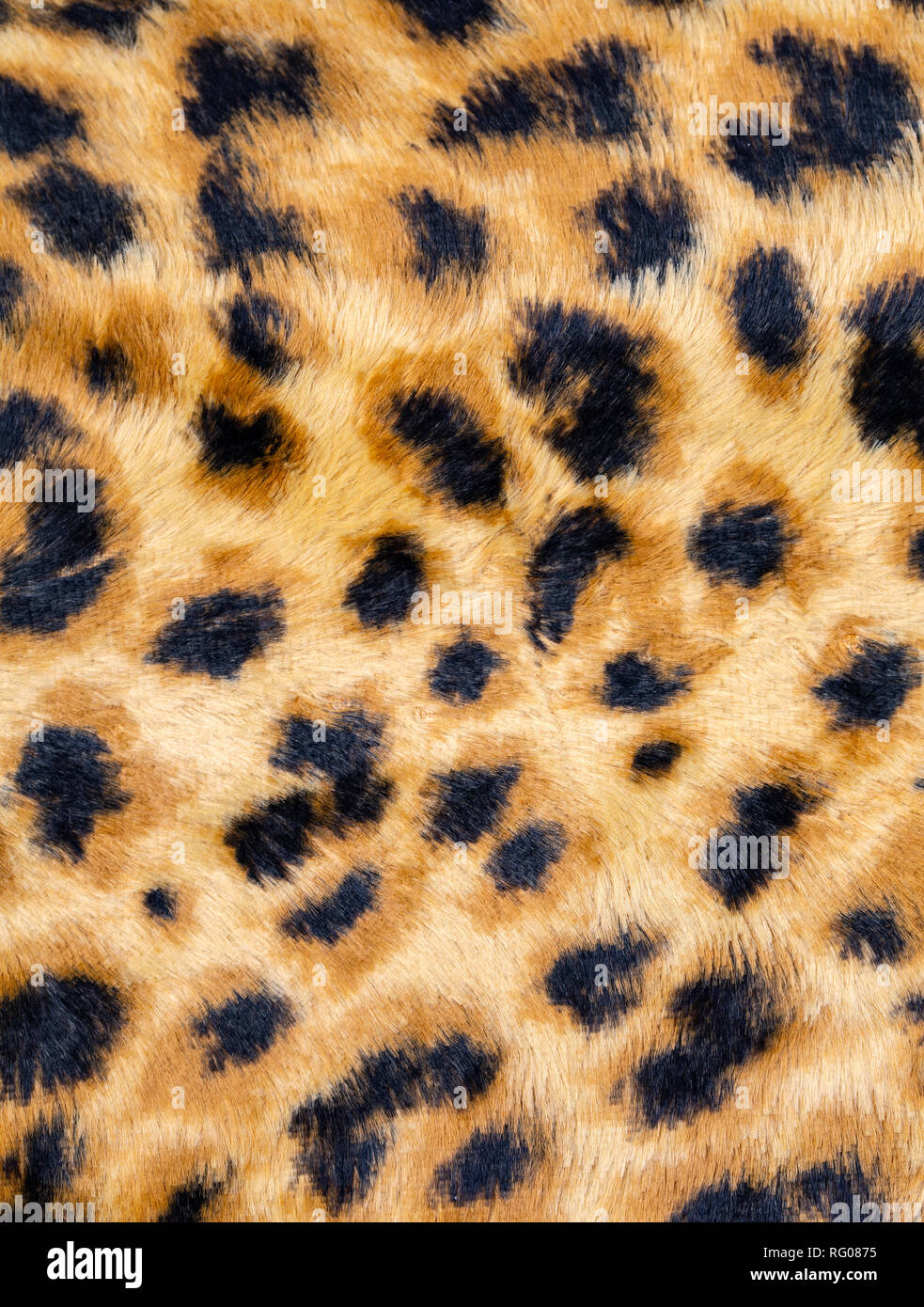 Moda Leopard Seamless Pattern. Stilizzata Spotted Leopard Sfondo della pelle Foto Stock
