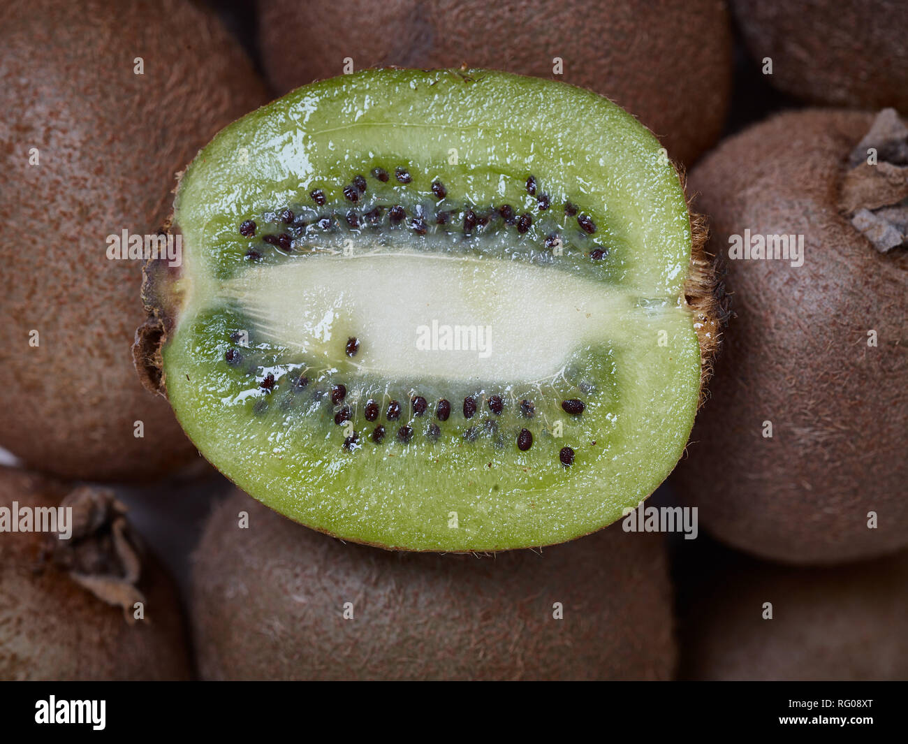 Kiwi-frutta cibo still-life fotografia Foto Stock