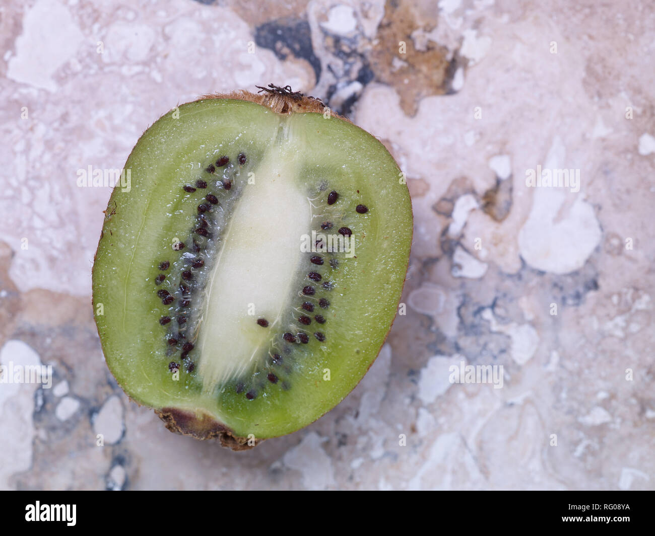Kiwi-frutta cibo still-life fotografia Foto Stock