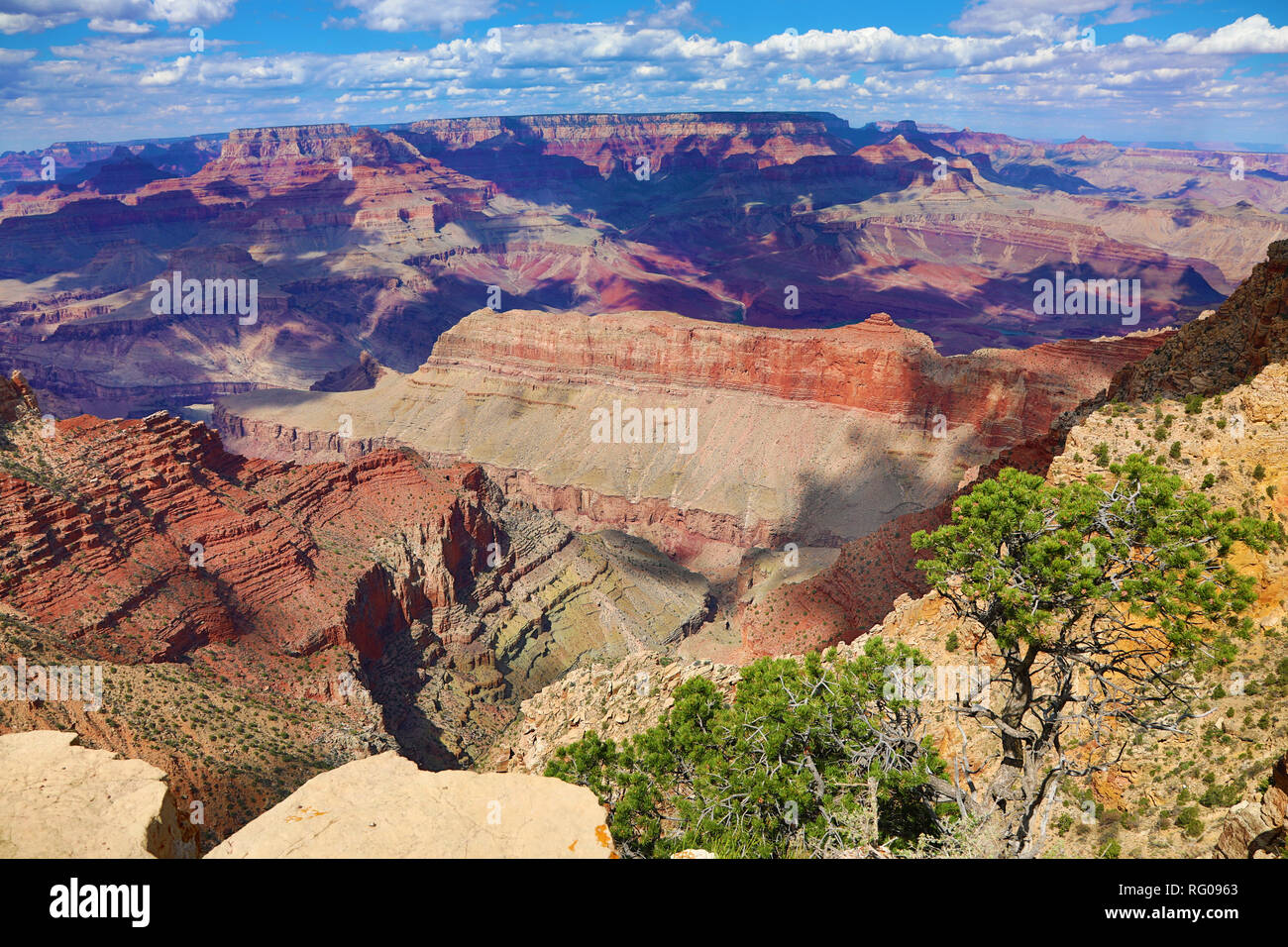Il Grand Canyon visto dal bordo Sud del Parco Nazionale del Grand Canyon, Arizona, Stati Uniti d'America Foto Stock