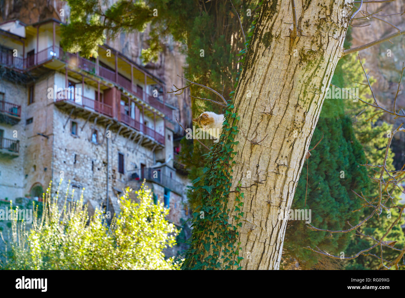 Menalon Trail e il monastero di Aghios Ioannis Prodromos Foto Stock