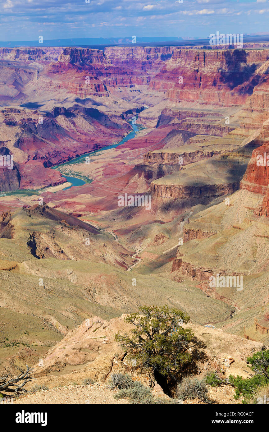 Il fiume Colorado in esecuzione attraverso il Grand Canyon visto dal bordo Sud in vista del deserto nel Parco Nazionale del Grand Canyon, Arizona, Stati Uniti o Foto Stock