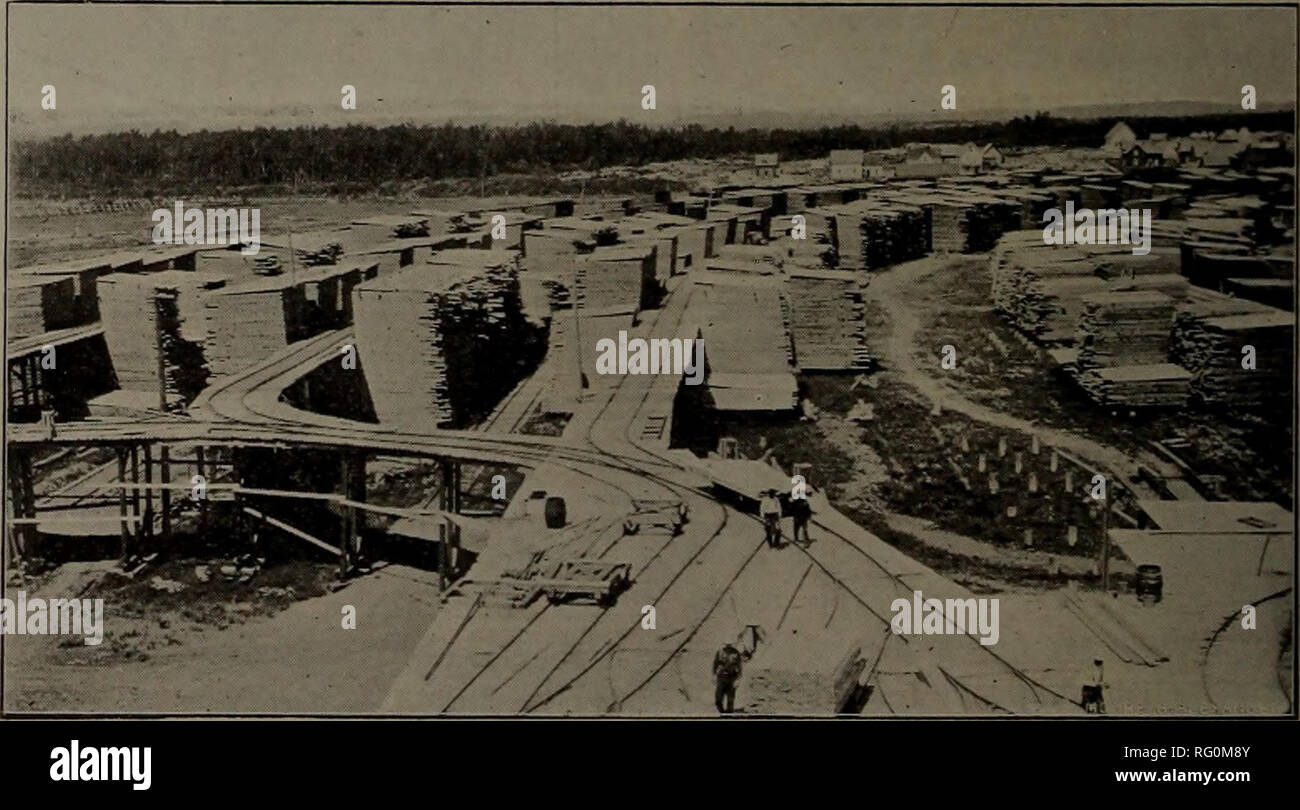 Canadian Forest Industries 1901 1902 Macchinoso Le Foreste E La Silvicoltura Prodotti Di Foresta Polpa Di Legno Industria Legno Industrie Utilizzatrici Segheria Di Geo Gordon Amp Co Cache Bay Ont Tele Di