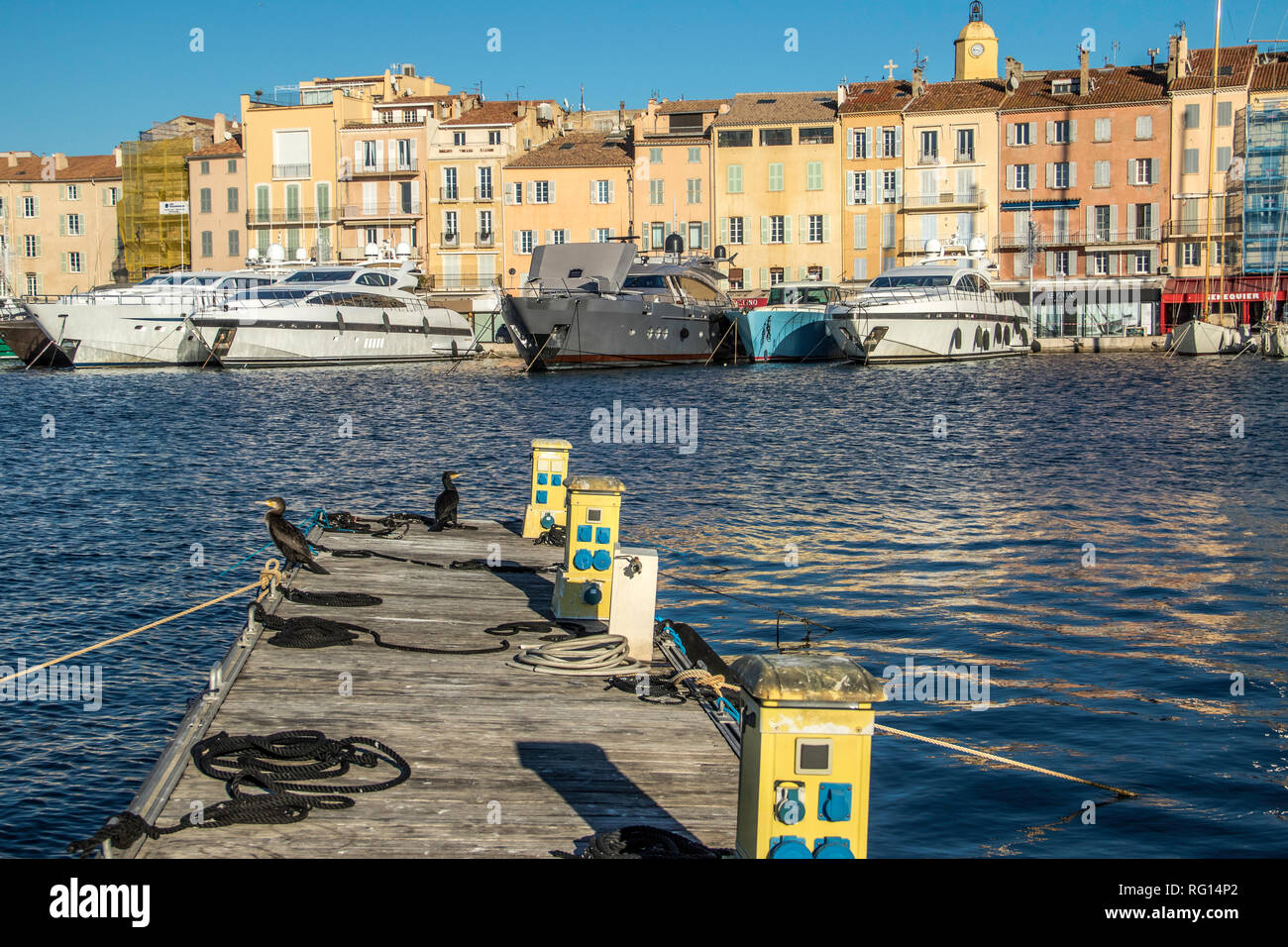 Saint Tropez, Provenza Case, spiaggia (La Ponche) Costa Azzurra gennaio, 19-29. 2019 / Port de Saint Tropez, Francia, yacht, cormorano, Seagull, sul mare Foto Stock