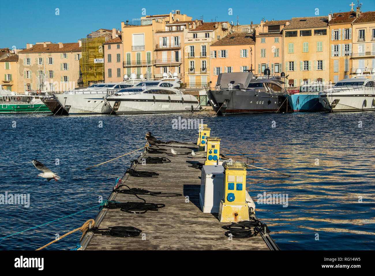 Saint Tropez, Provenza Case, spiaggia (La Ponche) Costa Azzurra gennaio, 19-29. 2019 / Port de Saint Tropez, Francia, yacht, cormorano, Seagull, sul mare Foto Stock