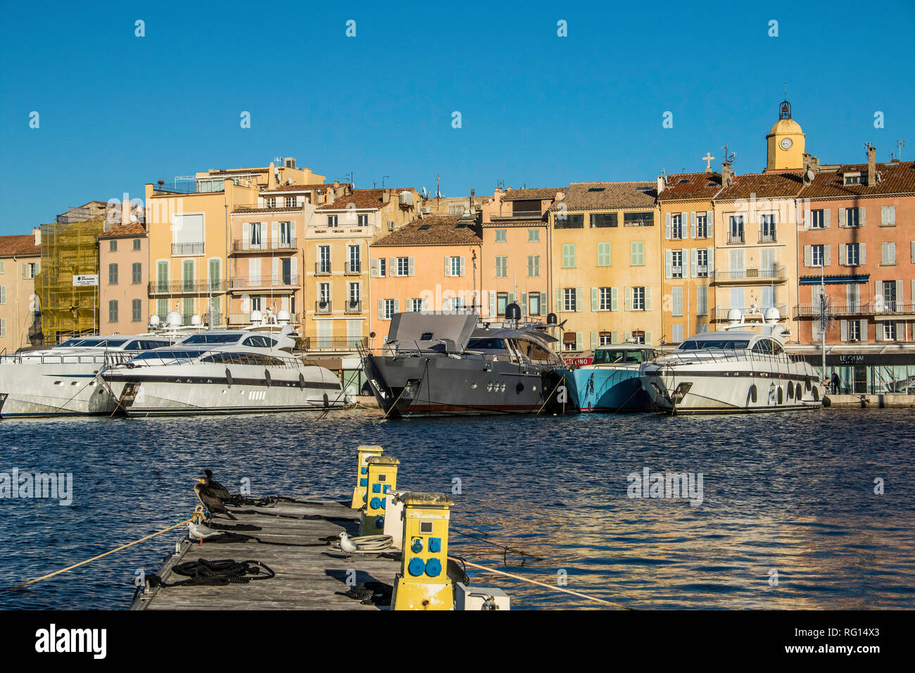 Saint Tropez, Provenza Case, spiaggia (La Ponche) Costa Azzurra gennaio, 19-29. 2019 / Port de Saint Tropez, Francia, yacht, cormorano, Seagull, sul mare Foto Stock