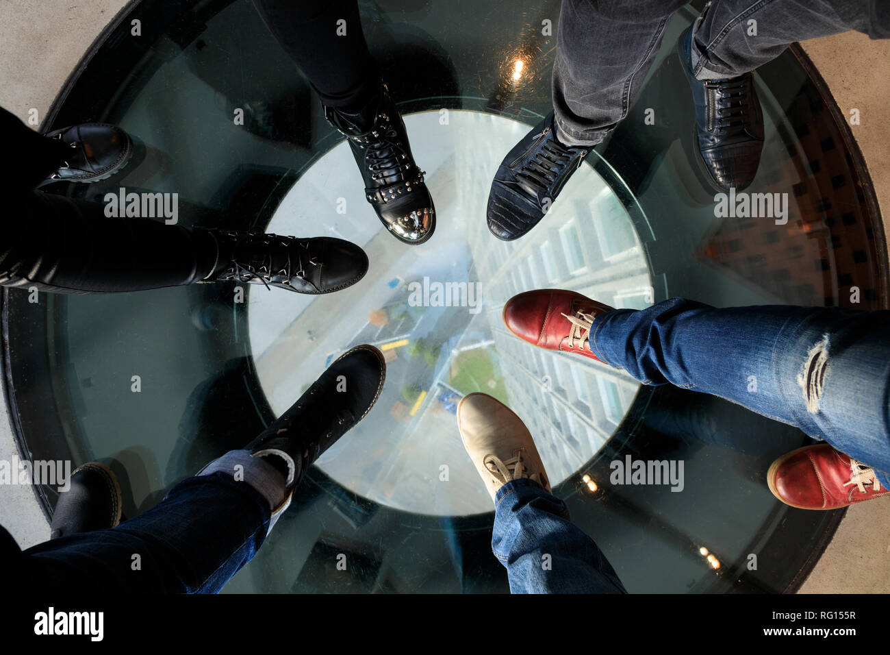 Sei zampe sul pavimento di vetro dei grattacieli Foto Stock