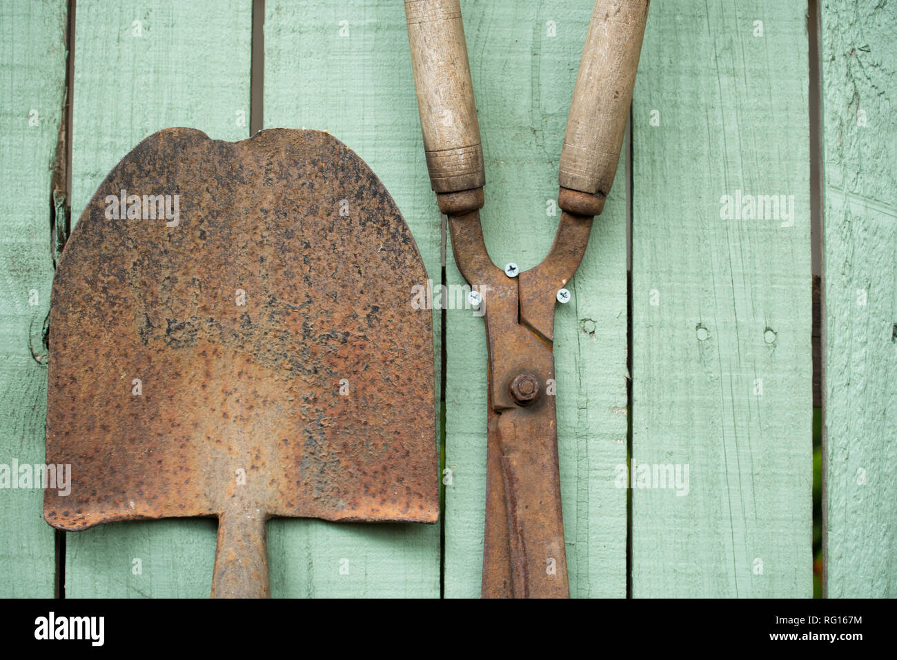 Vecchio arrugginito utensili da giardinaggio comprendente una pala e il giardino cesoie montato su un legname giardino recinto verniciato di verde Foto Stock