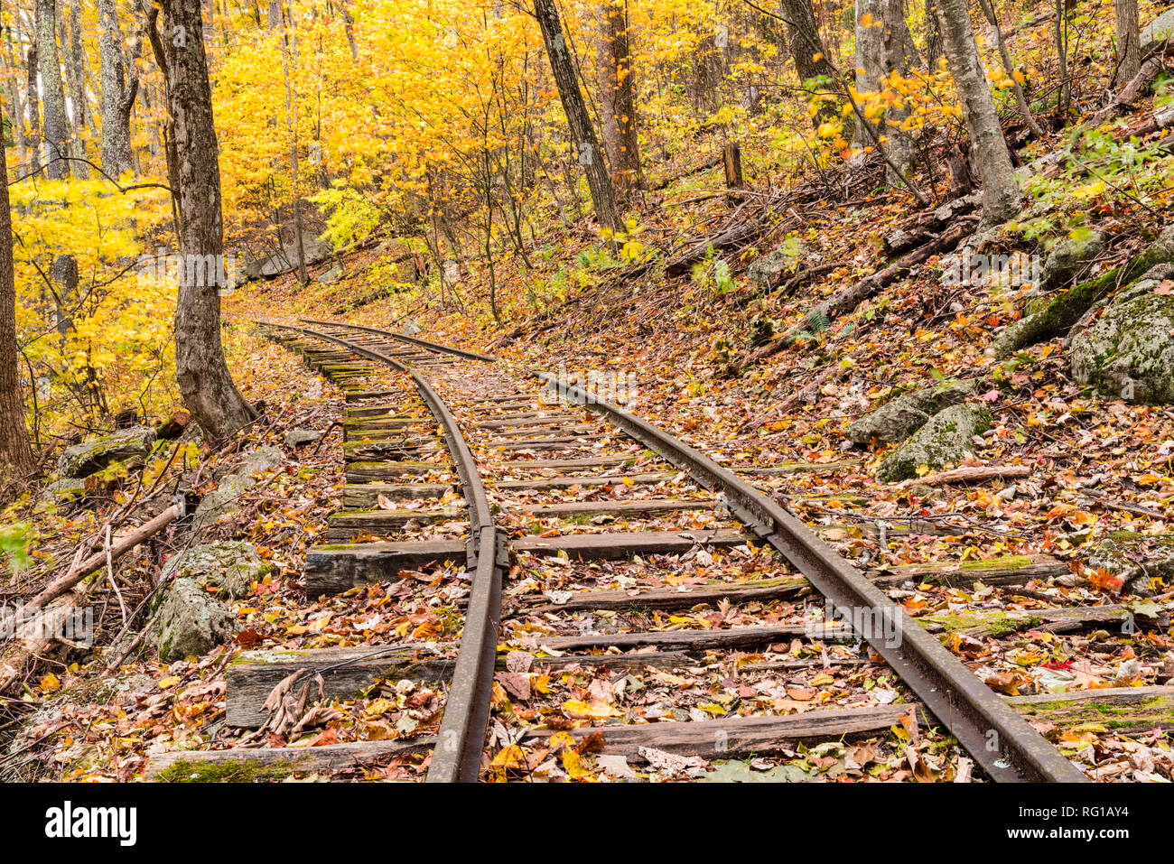 Abbandonati i binari della ferrovia nella foresta di Virginia durante l'Autunno Foto Stock