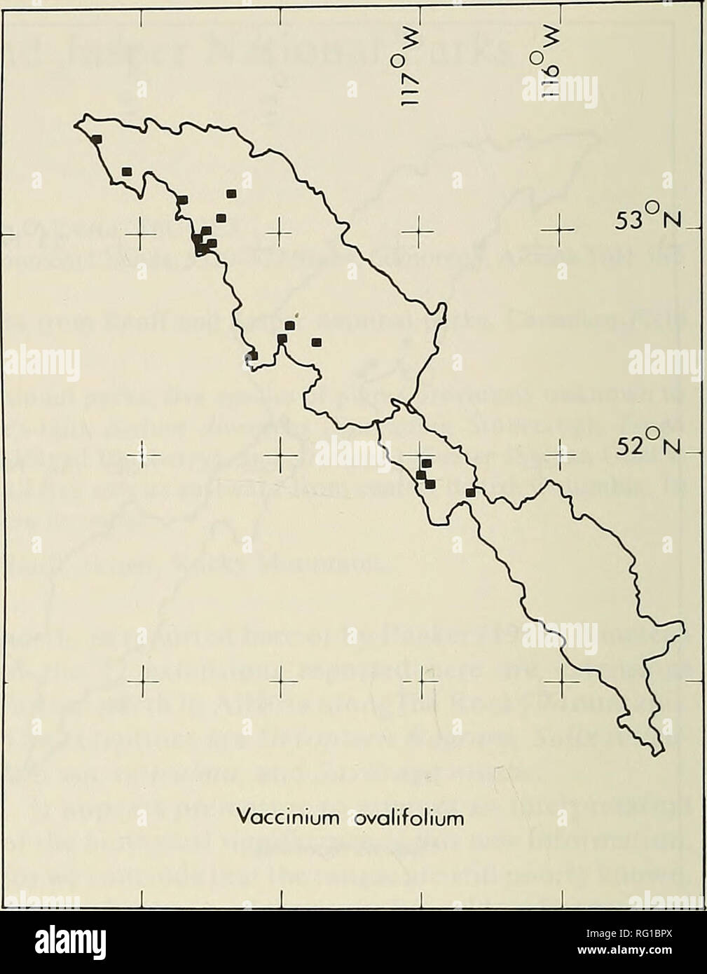 . Il campo Canadese-naturalista. 96 Il canadese Field-Naturalist Vol. 99 1 1 1 O 1)6°W  1 - ^ s • 5 + 53°N  - -h + i|    52°N  - + + + V 1 Tsuga heterophylla 1 1 1 nella figura 3. Tsuga heterophylla le collezioni da parchi nazionali di Banff e Jasper. 118°00'W (IC s.n. 20 set 77), Mt. Knight 53°04'N ri8°26'W (IC 9080), Mt. Thornton 53°09'N 118°16 W(PLA 3649], breve Ck. 53°26'N 119°I6'W (IC 9098), Snake Indian R. 53°I5'N 1I8°52' W (JE 9103.1), Swoda Mtn. 53° 18'N 119° 13' W (LC s.n. 23 lug 79), il passaggio verticale 53°07'N, 1 I8°46'W (IC 9112), Mt. Beaupre 53°03'N 118°36"W (IC s.n. 29 lug 79), Miette R. 53° Foto Stock