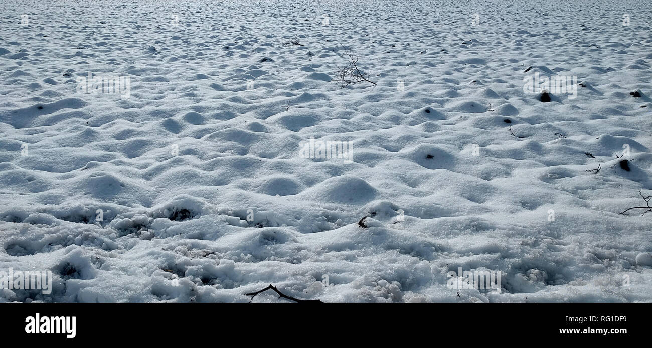 Collinare campo di neve Foto Stock