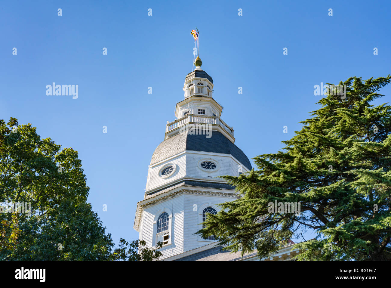 Maryland capitale dello stato della cupola in Annapolis, Maryland Foto Stock