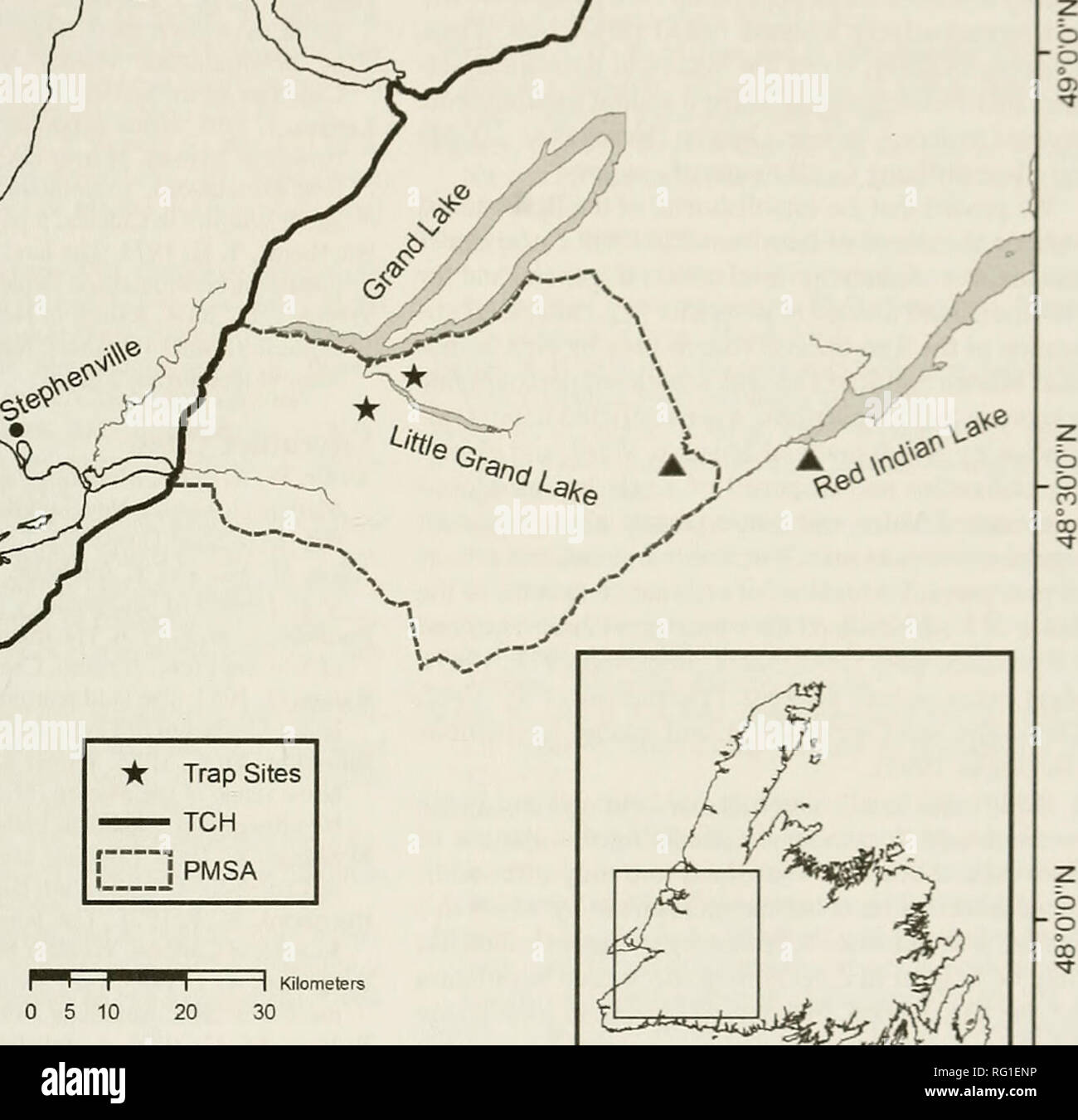 . Il campo Canadese-naturalista. Storia naturale; Sciences Naturelles. 57'30"0"W I 57'0'0"W I J t=>P^. • Siti trappola TCH PMSA 1 0 5 10 20 30 ± 58°0'0"W 57°30'0"W 57°0'0"W 58°30'0"W nella figura 1. Mappa di Terranova sudoccidentale che mostra la posizione del rosso del sud-backed Vole {Clethrionomys gapperi) cap- tures in 1999, e siti di cattura rispetto ad altri settori citati nel testo; Aindicates ubicazione del primo rosso del sud- backed Vole catturare in rosso indiano area del Lago nel 2001. Finestra della mappa mostra la posizione delle aree rispetto all'isola di Terranova. parame grafica Foto Stock