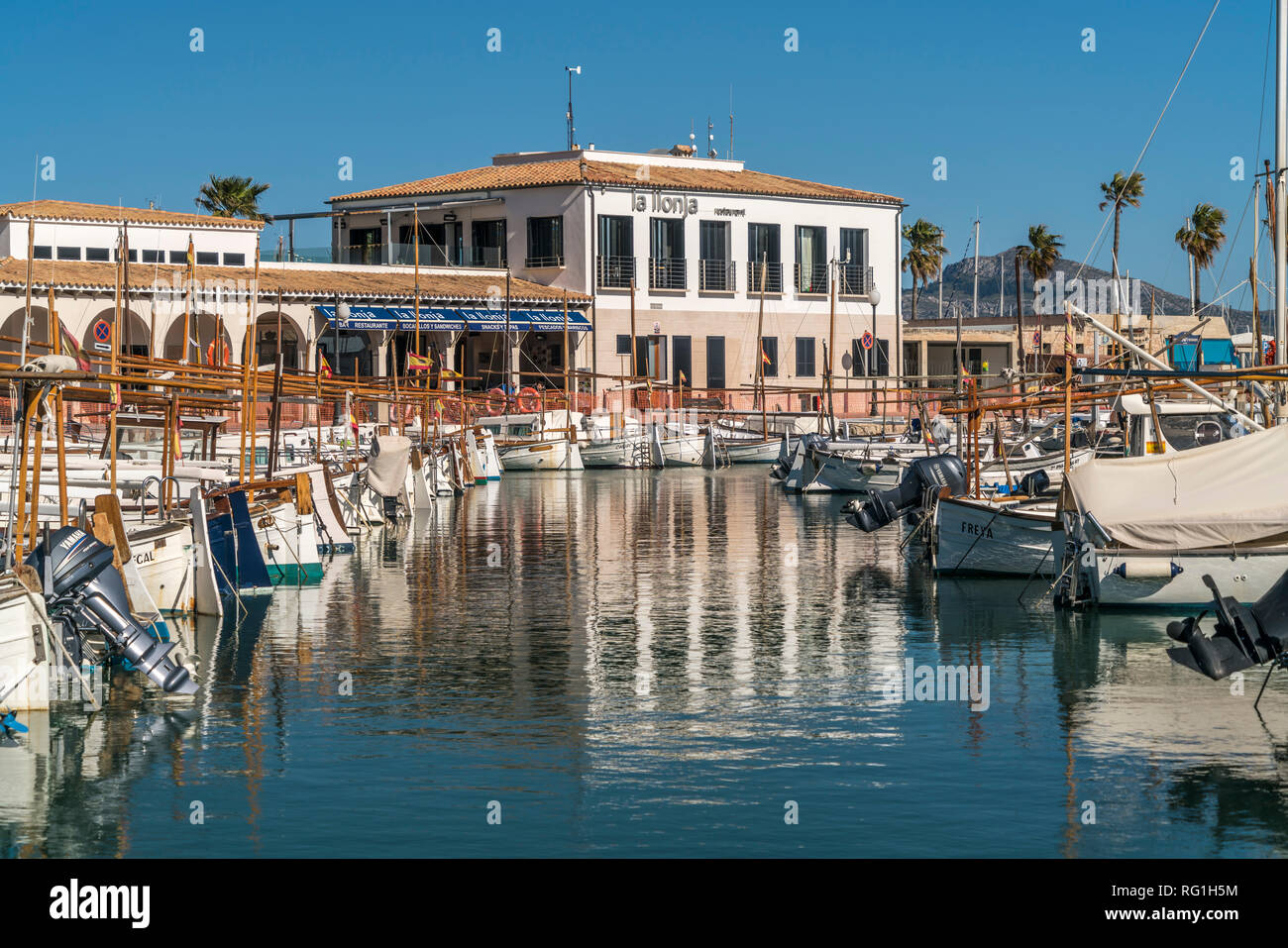 Marina von Port de Pollenca Maiorca Balearen, Spanien | Port de Pollenca Marina, Maiorca, isole Baleari, Spagna, Foto Stock