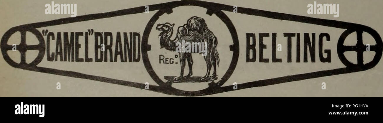. Canadian Forest industries 1901-1902. Macchinoso; le foreste e la silvicoltura; prodotti di foresta; polpa di legno Industria; legno industrie utilizzatrici. Ho l'Northey Mfg. Co. Limited, Toronto, Ont. ho pubblicato settimanalmente da WILLIAM RIDER &AMP; figlio Ltd., 14 Bartolomeo vicino, Londra, E. C. leader europeo di legname carta i traffici di legname ufficiale abbonamento : $5,00 all'anno, POST libera il " Timber Trades ufficiale " circola in tutti i paesi europei, le colonie inglesi, Stati Uniti, &amp;c, &amp;c ed è molto affidabile di medie di pubblicità per tutti i venditori e gli acquirenti di legni duri. . "CAMEL&q Foto Stock