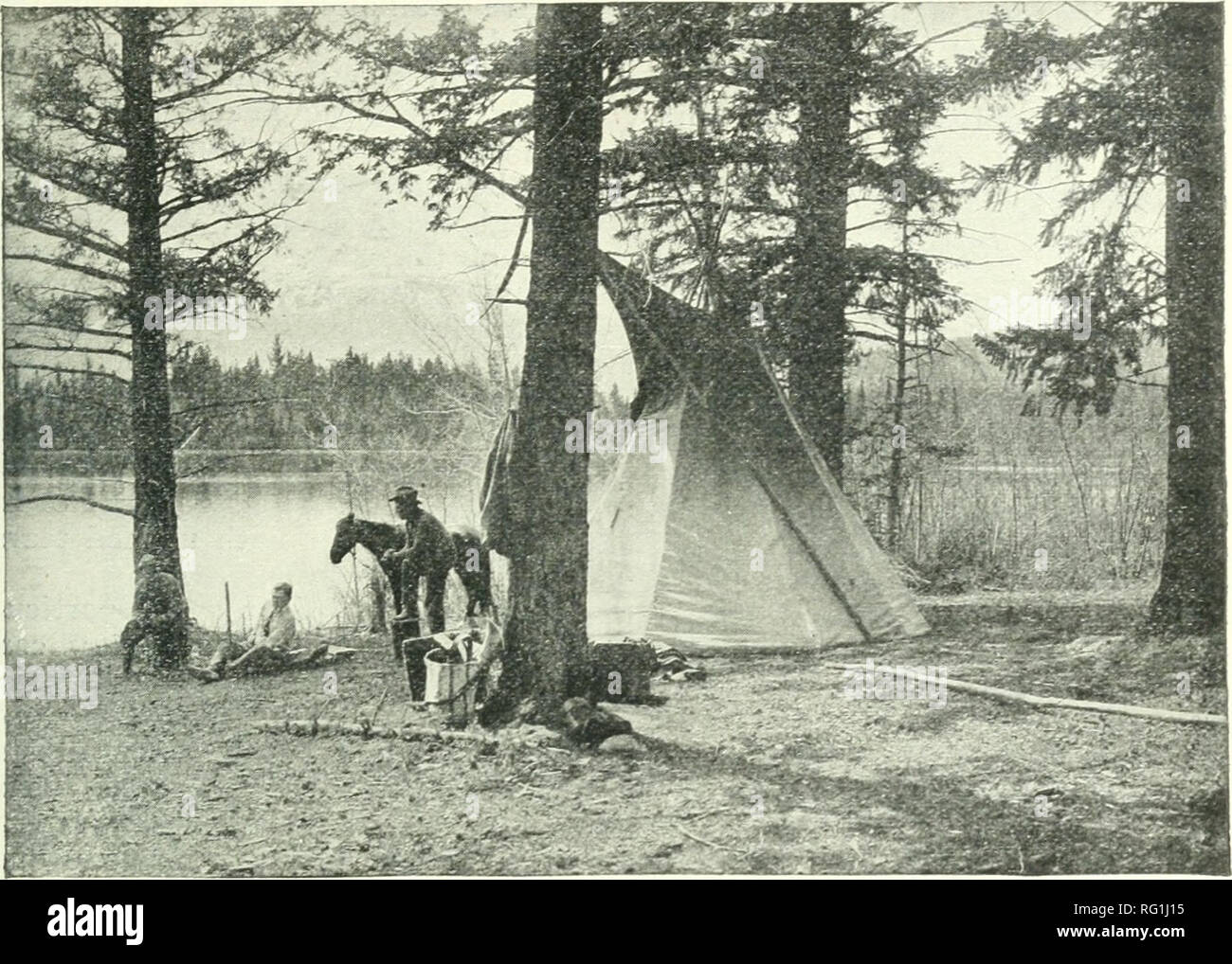 . Silvicoltura canadese ufficiale. Le foreste e la silvicoltura -- Canada periodici. Silvicoltura canadese ufficiale, dicembre, ipij. 293. Il lago di Mildred, Jasper Park, Alberta, lungo il Grand Pacific Irunk ferrovia. stata vestita nel morbido vellutato verde del pino, abete e la Fir, invece di presentare- deprimenti- barrens riempito con g-zia scheletri bianco che aumentare il loro segnato arti per il cielo in inutile protestare e lamentarsi e strillano come anime perdute come la feroce venti invernali fischio attraverso di loro. La bellezza degli alberi. È solo negli ultimi anni che il pubblico abbia il diritto di diventare vivo per il magnifico un Foto Stock