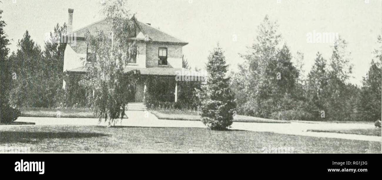 . Silvicoltura canadese ufficiale. Le foreste e la silvicoltura -- Canada periodici. Canadian silvicoltura) Ufficiale, Novembre 1919 443 e salici sono distribuiti come talee senza radici. In aggiunta per gli alberi e le talee di una notevole quantità di acero, ceneri, e cara- gana seme viene inviato quando un approvvigionamento sufficiente è disponibile. È molto facile da coltivare questi tre tipi da seme, e molti agricoltori trovano più comodo per sollevare le proprie sementi- lings che li hanno inviati direttamente dal vivaio. Questo è specialmente il caso in cui l'agricoltore vive una lunga strada dalla stazione con una scarsa mail Foto Stock
