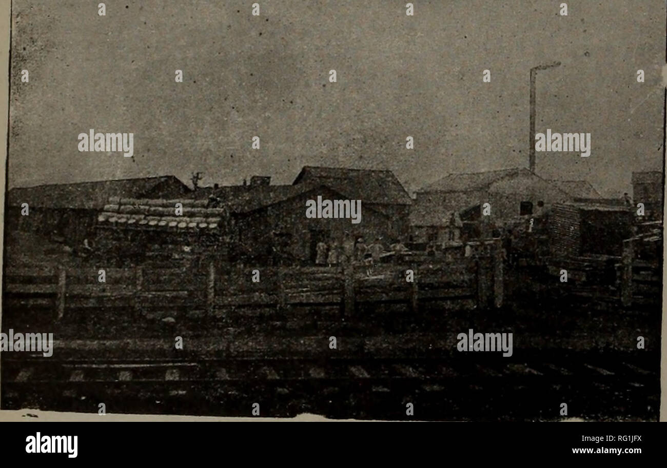 . Canadian Forest industries 1897-1899. Macchinoso; le foreste e la silvicoltura; prodotti di foresta; polpa di legno Industria; legno industrie utilizzatrici. Mclean &AMP; figli mulino a wingham. La ditta di McLean &AMP; Figlio di Wingham, Ont., mulino di cui illustriamo in questa pagina, è composto dei sigg. L. E J. A. McLean. Essi sono a lungo state impegnate nel commercio di legname, e sono ben noti in tutta Western Ontario, essendo stati titolari di diverse dif- ferent mills. Essi hanno acquistato il presente mulino proprietà nel 1882, e da allora hanno fatto un pro- gressive business, sotto la gestione del sig. J. A. McLean. Moderni machi Foto Stock