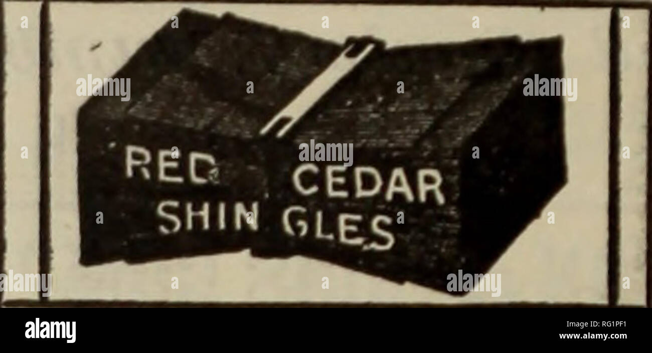 . Canadian Forest industries 1902-1904. Macchinoso; le foreste e la silvicoltura; prodotti di foresta; polpa di legno Industria; legno industrie utilizzatrici. VI Canada Lumberman edizione settimanale Luglio 22, 1903 ARTHUE BUSHFOliTH esportatore di legno di mogano e registri di impiallacciatura legname registri e Crotches, inglese Brown e A. R. C. Uwd codice. Pnllnrrl finl/' 12 Derl)y Road.' libU-;iddro*" "impiallacciature.' ' vllUlU VUH. LIVERPOOL. Gli incendi. La segheria di Oram Wheeler a Barnston, Que., fu distrutto da un incendio 1 settimana di AST. La sega e ciottoli mulino a Brudenell, Ont., proprietà di James Costello era stata bruciata di recente. È inteso jthat vi w Foto Stock