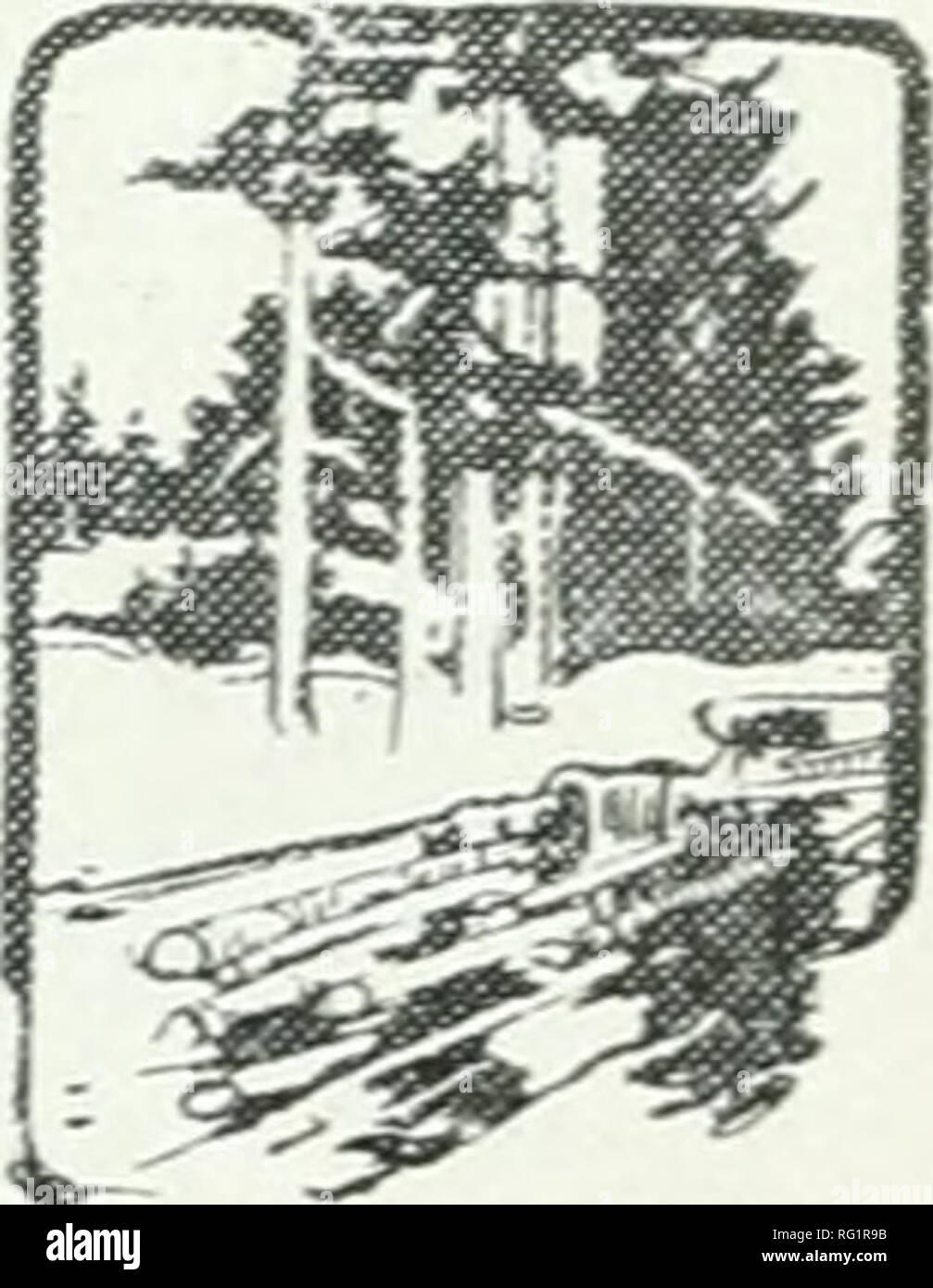 . Silvicoltura canadese ufficiale. Le foreste e la silvicoltura -- Canada periodici. Lo studio scientifico necessario per superare i problemi della silvicoltura e tenere le aree permanentemente sotto legno colture.. Il legname è e sarà sempre uno dei dei quali, giovani il legname è in crescita dopo il pre- asset principali di questa provincia. Il cedente commerciale distruggersi:su del raccolto dal fuoco e registrazione, la prosperità delle nostre città e cittadine e villaggi nella zona umida della costa, abbiamo dipende molto seriamente sulla foresta mdustries, alcuni dei più rapida crescita legname m il mondo, mentre nel paese di distretti, lo sviluppo è aiutato a Foto Stock