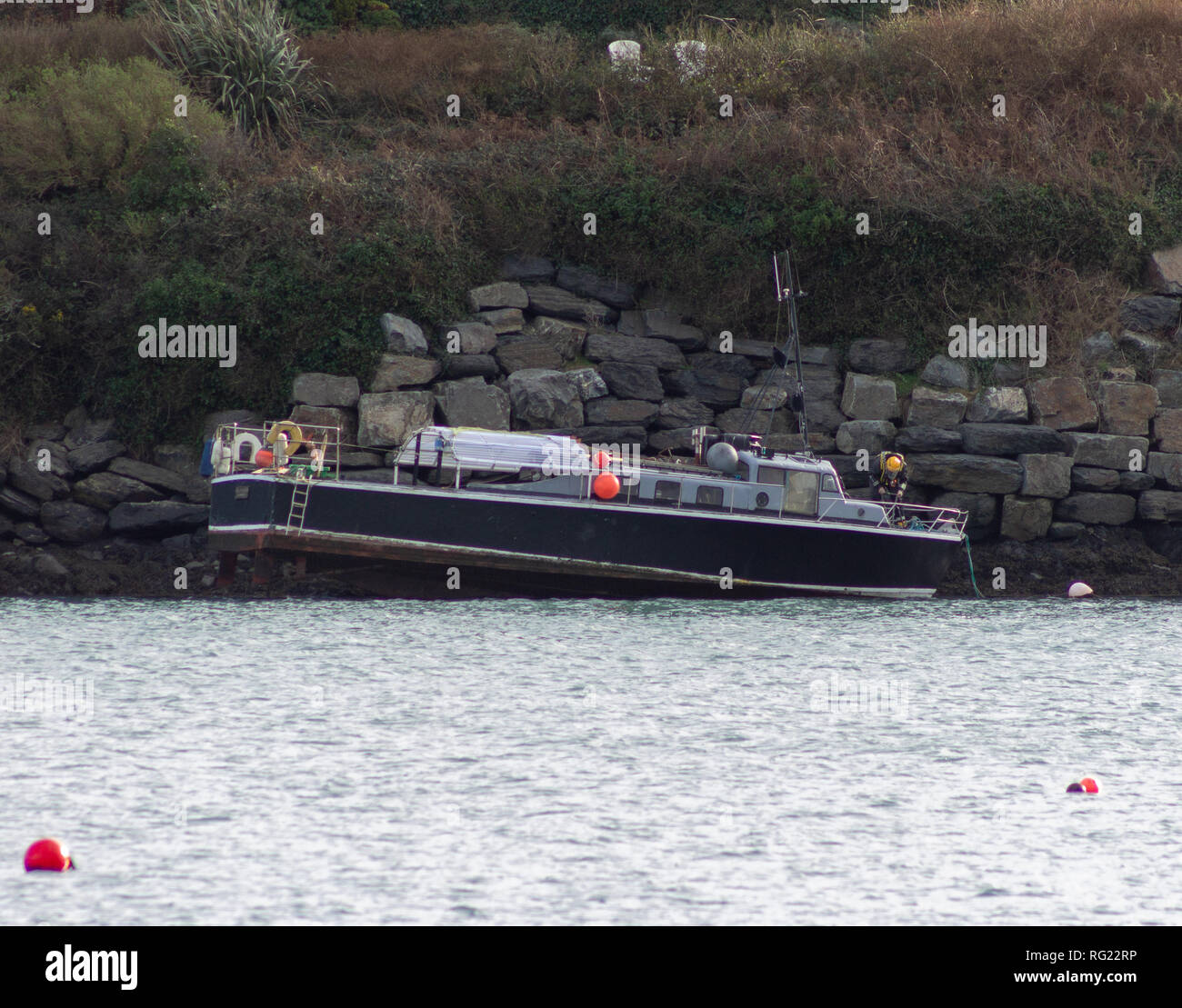 Ultima notte di alta venti trovato il mare MV Tracker arenarsi sulle rocce nel porto di Castlehaven questa mattina. La scafo in legno nave è stata bloccata in posizione veloce su una marea calante, la costa irlandese di protezione sono in presenza e assenza di vittime sono riportati. Credito: aphperspective/Alamy Live News Foto Stock