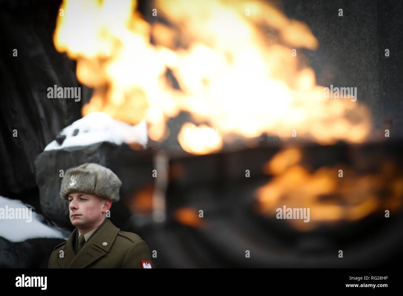 Varsavia, Polonia. 27 gennaio, 2019. Un soldato è visto durante la Shoah Giorno del Ricordo commemorazione il servizio presso il Ghetto Monumento degli eroi di Varsavia, Polonia, Gennaio 27, 2019. In questa domenica segna il 74º anniversario della liberazione del campo di concentramento di Auschwitz-Birkenau in cui oltre 1,1 milioni di persone sono stati sterminati durante l occupazione nazista della Polonia. Nel 2005, l'Assemblea generale delle Nazioni Unite designato 27 gennaio l anniversario della liberazione di Auschwitz-Birkenau, come olocausto internazionale Giorno del Ricordo. Credito: Jaap Arriens/Xinhua/Alamy Live News Foto Stock
