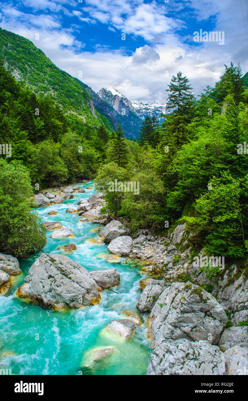 Featured image of post Verticale Sfondi Natura Hd