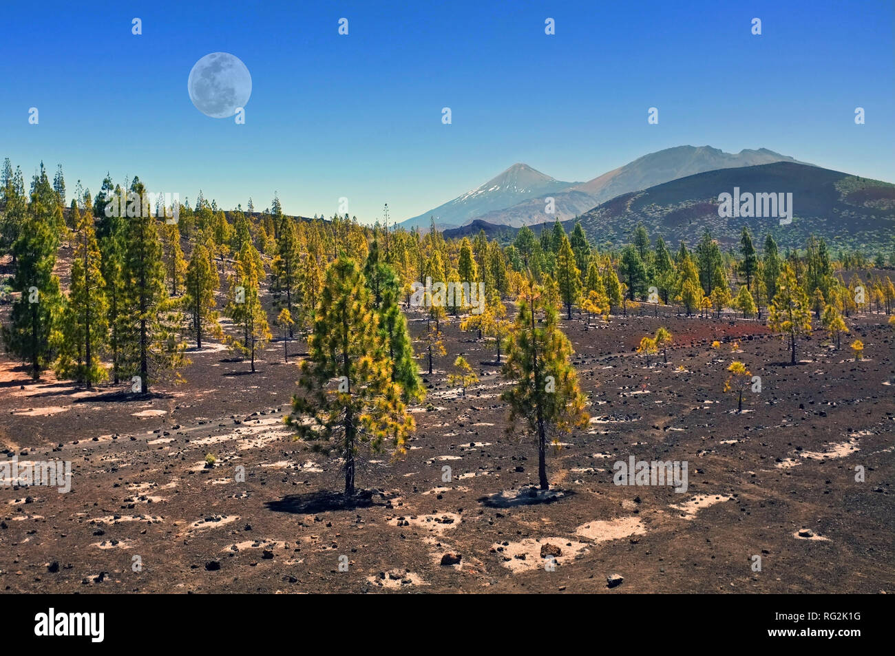Paesaggio di Tenerife Foto Stock