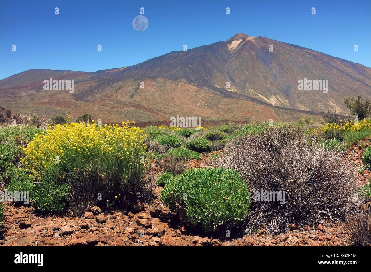 Paesaggio di Tenerife Foto Stock