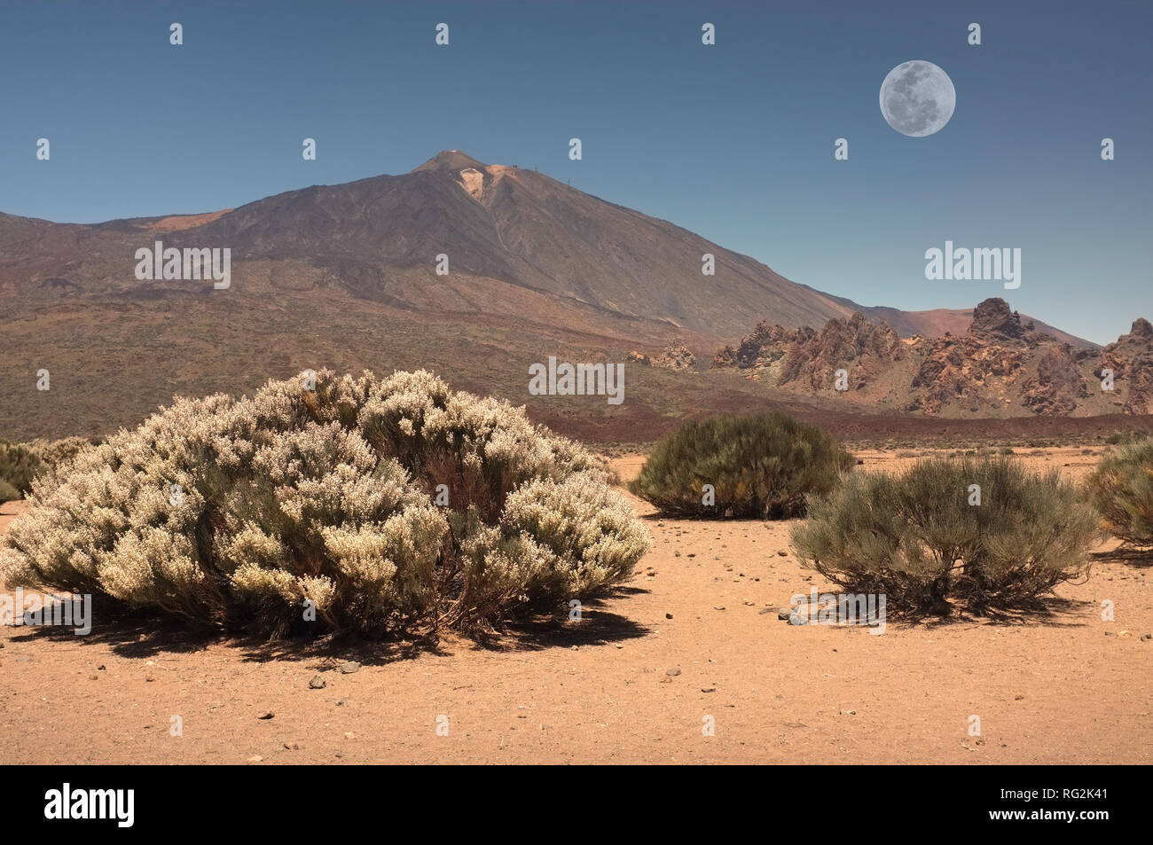 Paesaggio di Tenerife Foto Stock