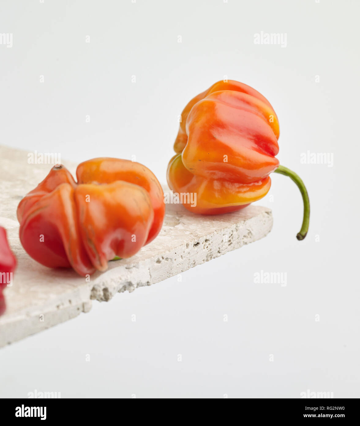 Colorato Scotch Bonnet il peperoncino, cibo still-life fotografia Foto Stock