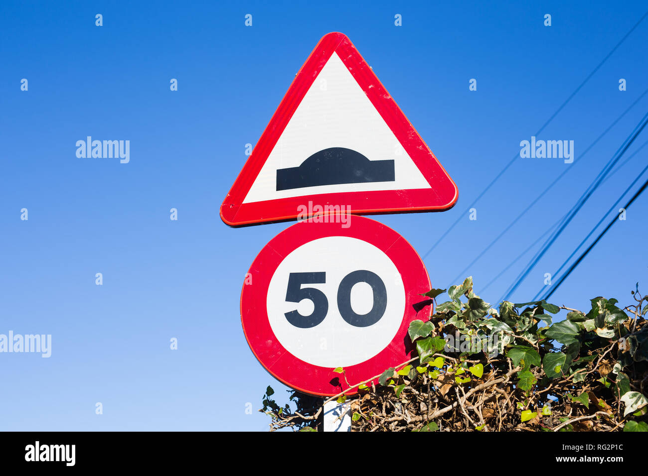 Il limite massimo di velocità segno di traffico contro il verde delle foglie Foto Stock