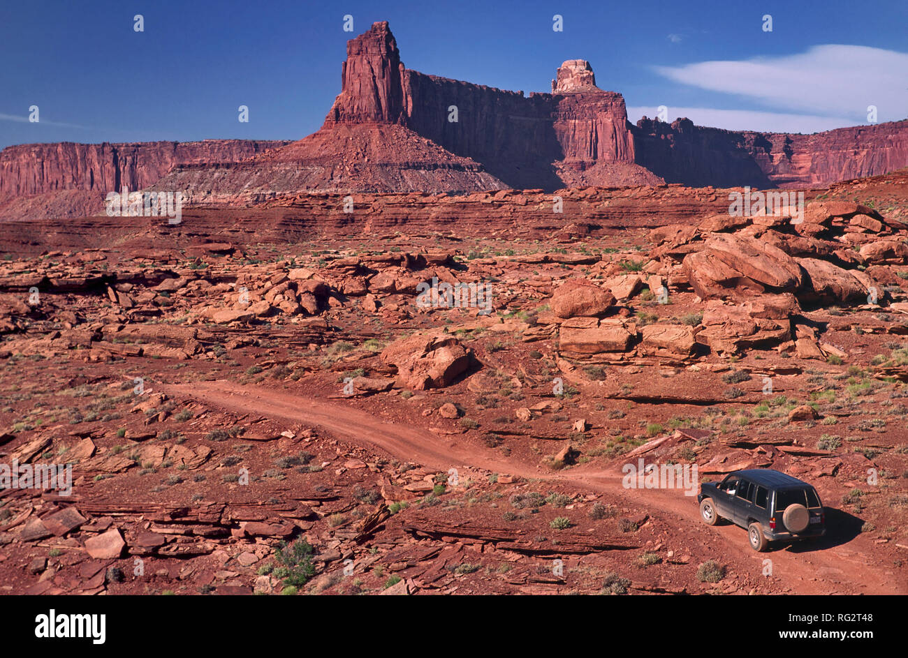 Candelabro Tower, White Rim Road, Island in the Sky District, il Parco Nazionale di Canyonlands, Utah, Stati Uniti d'America Foto Stock