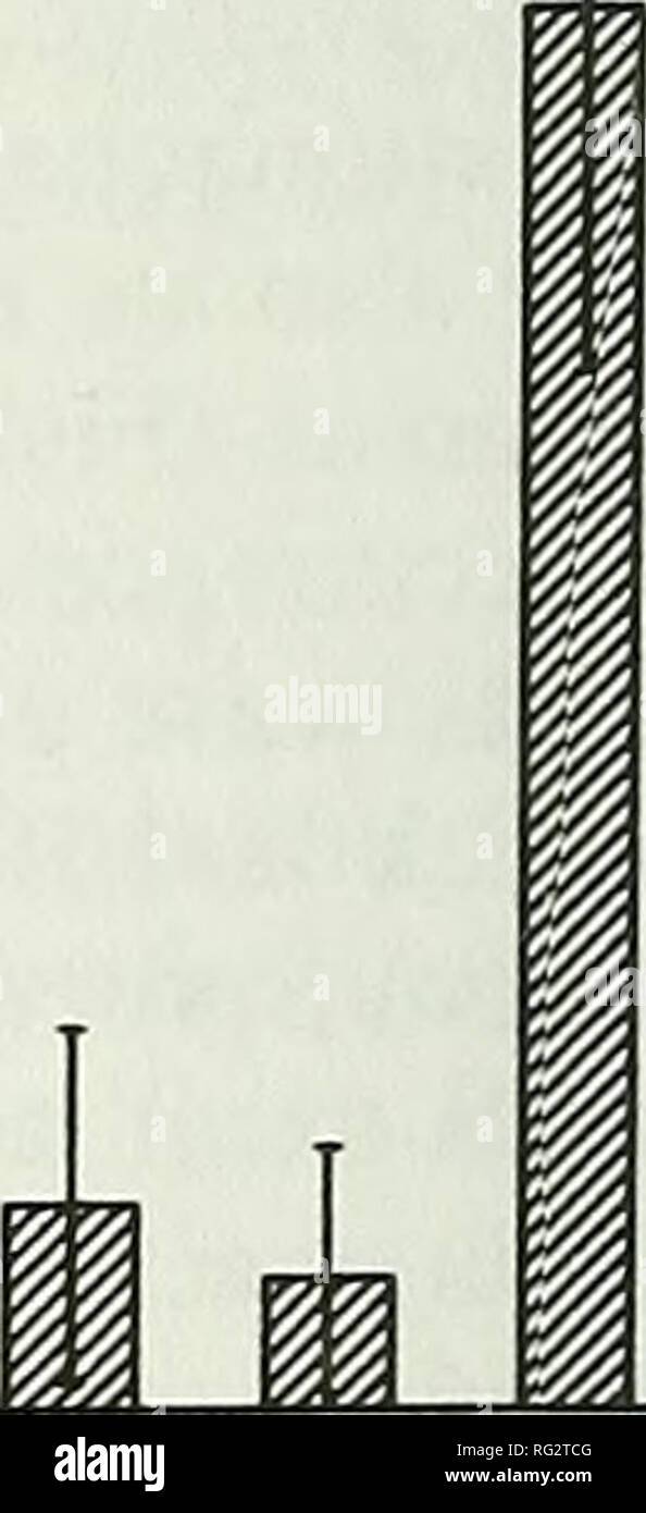 . Il campo Canadese-naturalista. FN FS PS Tl Ml FH BD FN FS PS Tl Ml FH BD 100 80 - CO X o < P 60 40 20 - antica colonia MURRELET (N=19) FN FS PS Tl Ml FH BD 60 HI 50 CO ^ 40 2 30 20 10 MURRELET antica colonia * (N=19) n. 1. FN FS PS Tl Ml FH BO Figura 3. Percentuale di occorrenza e volume percentuale di gruppi di alimenti in stomaci di Norvegia ratti (Rattus norvegicus) intrappolati tra aprile e luglio 1995 in tre aree Langara Island, British Columbia. Gruppi di alimenti: FN, funghi; FS, frutti e semi; PS, germogli di piante; Tl, invertebrati terrestri; MI, invertebrati marini; FH, pesce; BD, uccelli. Fercents wi Foto Stock