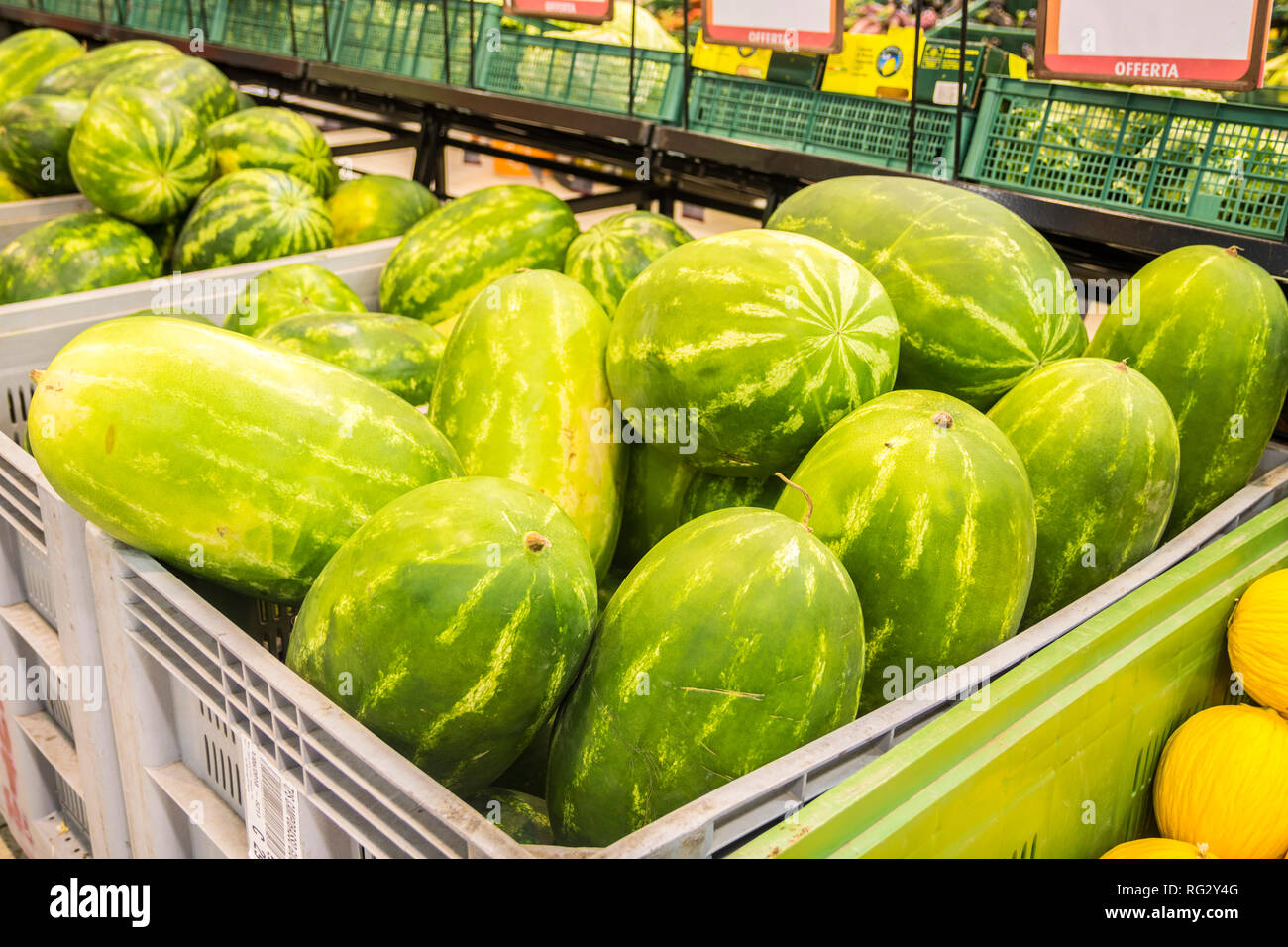 Cassa grandi maturi i cocomeri, cocomero casella, grande succosa cocomeri, frutta fresca, vita sana nozione lifestyle cinque al giorno, supermercato stock Foto Stock