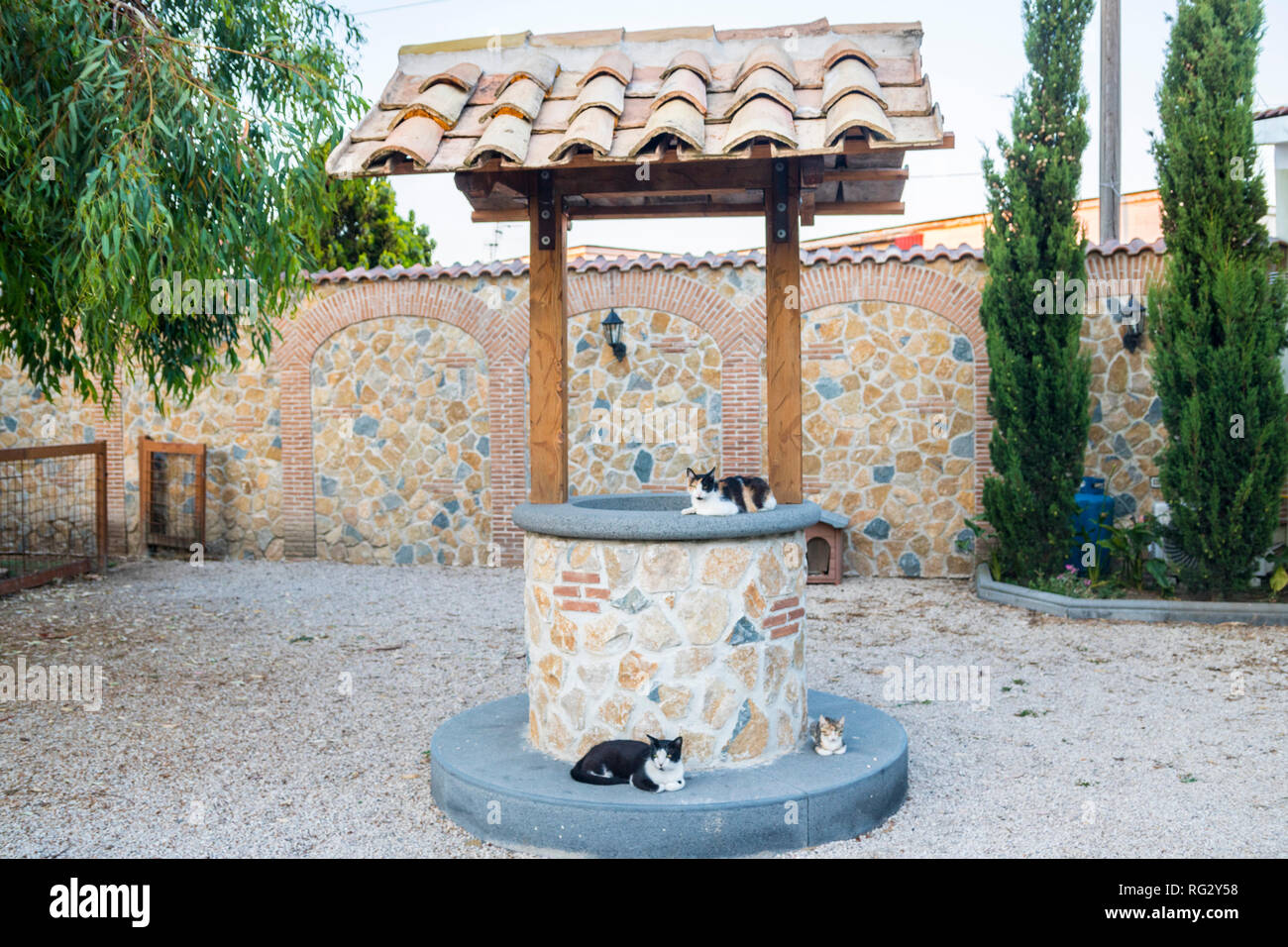 Tre gatti in appoggio su un Wishing Well, animali domestici, animali, gli animali della fattoria, cortile, Italia, pietra Wishing Well concetto di famiglia, muratura in pietra, granito Foto Stock