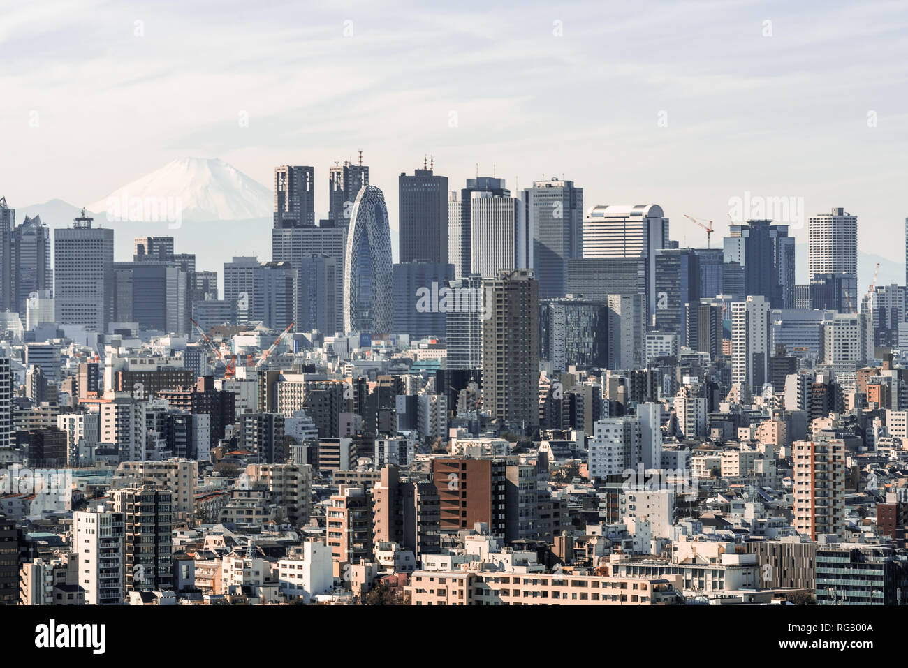 Paesaggio urbano vista aerea della zona di Shinjuku con edifici di business district e case, Fuji mountain in background. Tokyo attrazione turistica visite turistiche Foto Stock