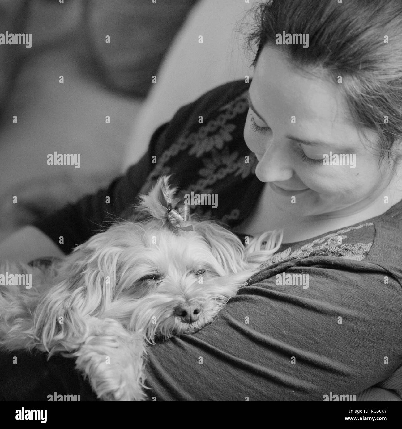 Donna con un Sleepy Dog Foto Stock