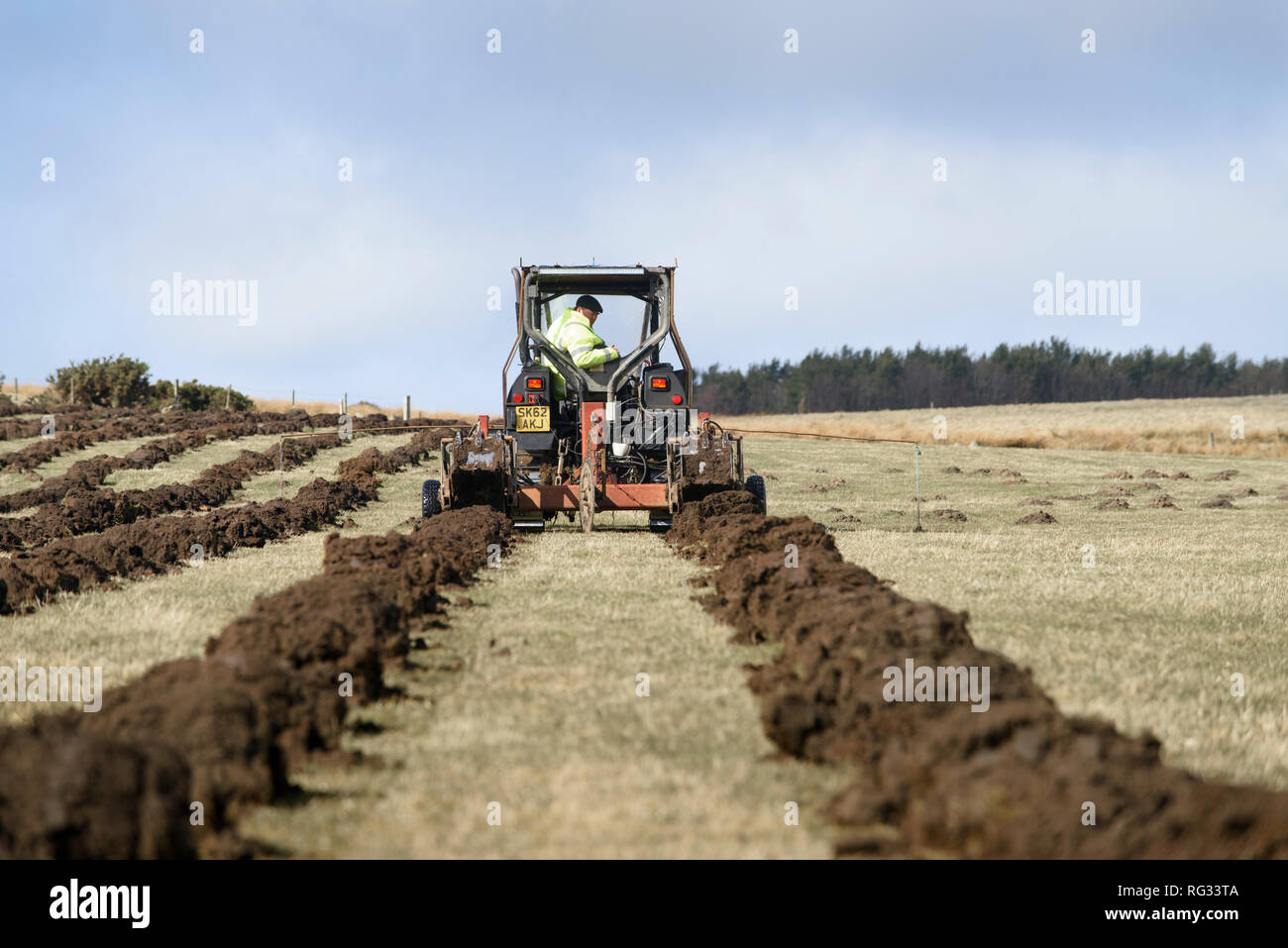 Venerdì 23 Marzo 2018: i primi alberi piantati in Inghilterra più grande foresta per più di trenta anni a Doddington Nord Moor Foto Stock