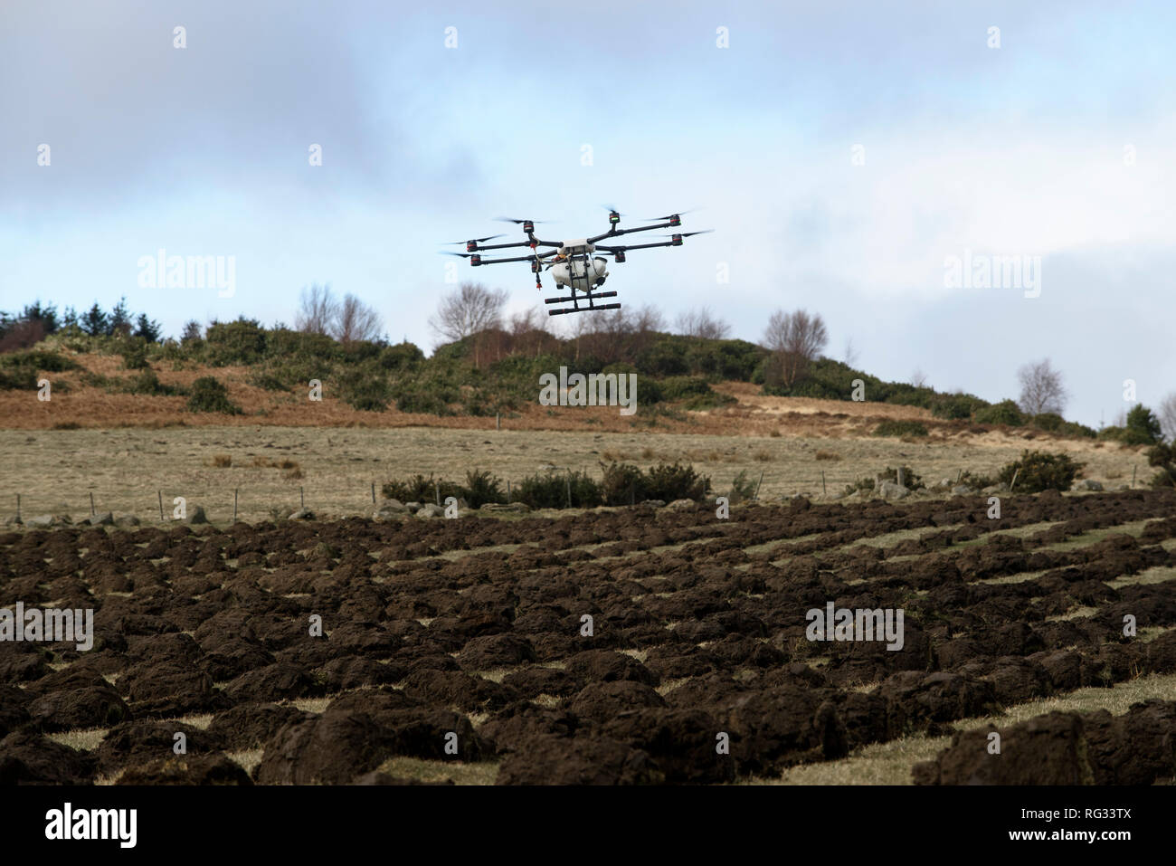 Venerdì 23 Marzo 2018: i primi alberi piantati in Inghilterra più grande foresta per più di trenta anni a Doddington Nord Moor Foto Stock