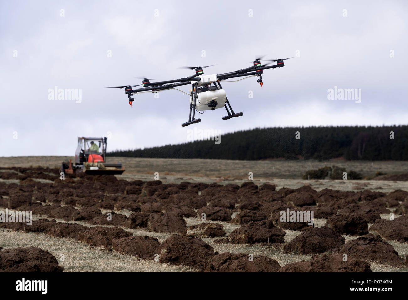 Venerdì 23 Marzo 2018: i primi alberi piantati in Inghilterra più grande foresta per più di trenta anni a Doddington Nord Moor Foto Stock