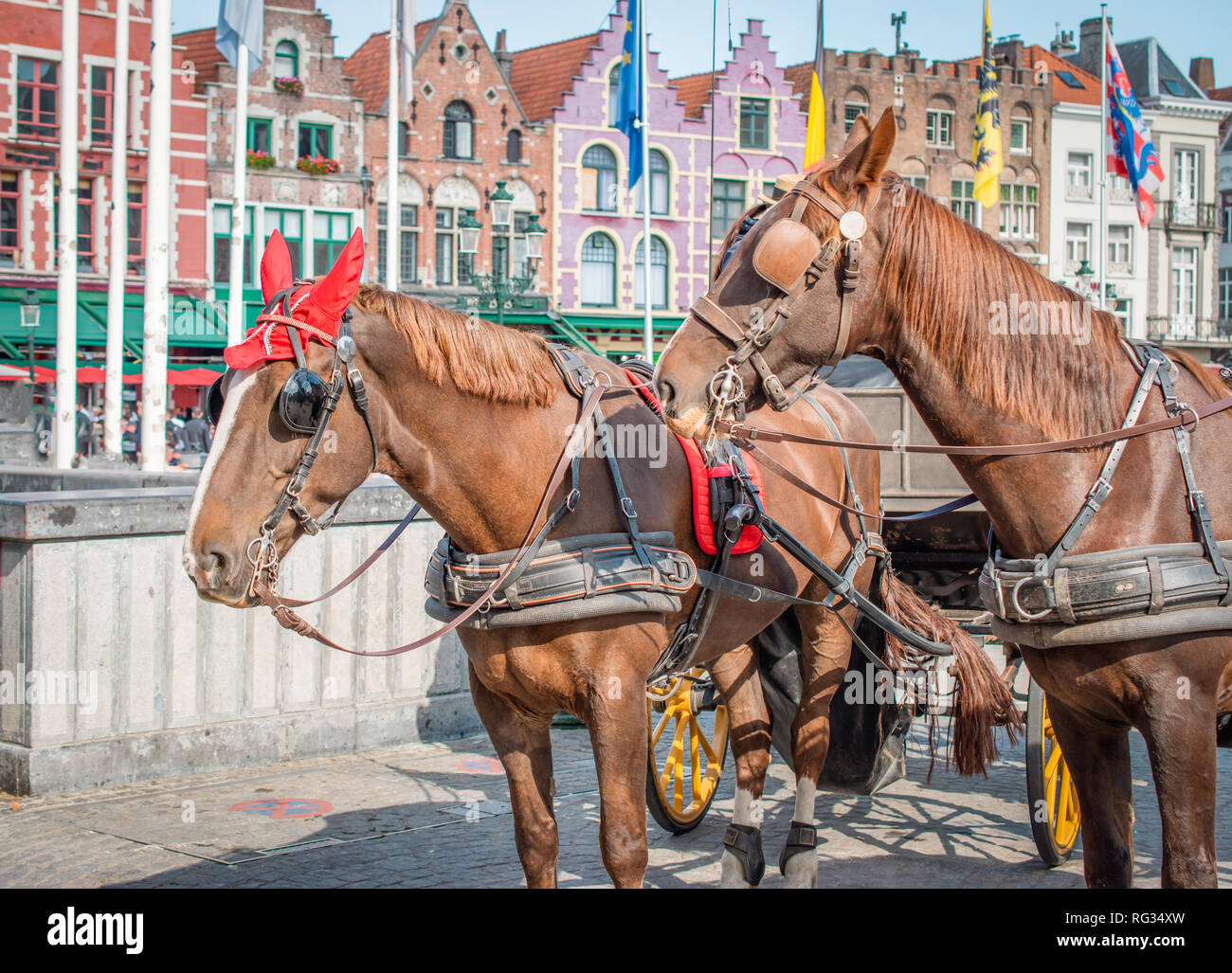 Carrozze trainate da cavalli in attesa per i turisti a Bruges, Belgio Foto Stock