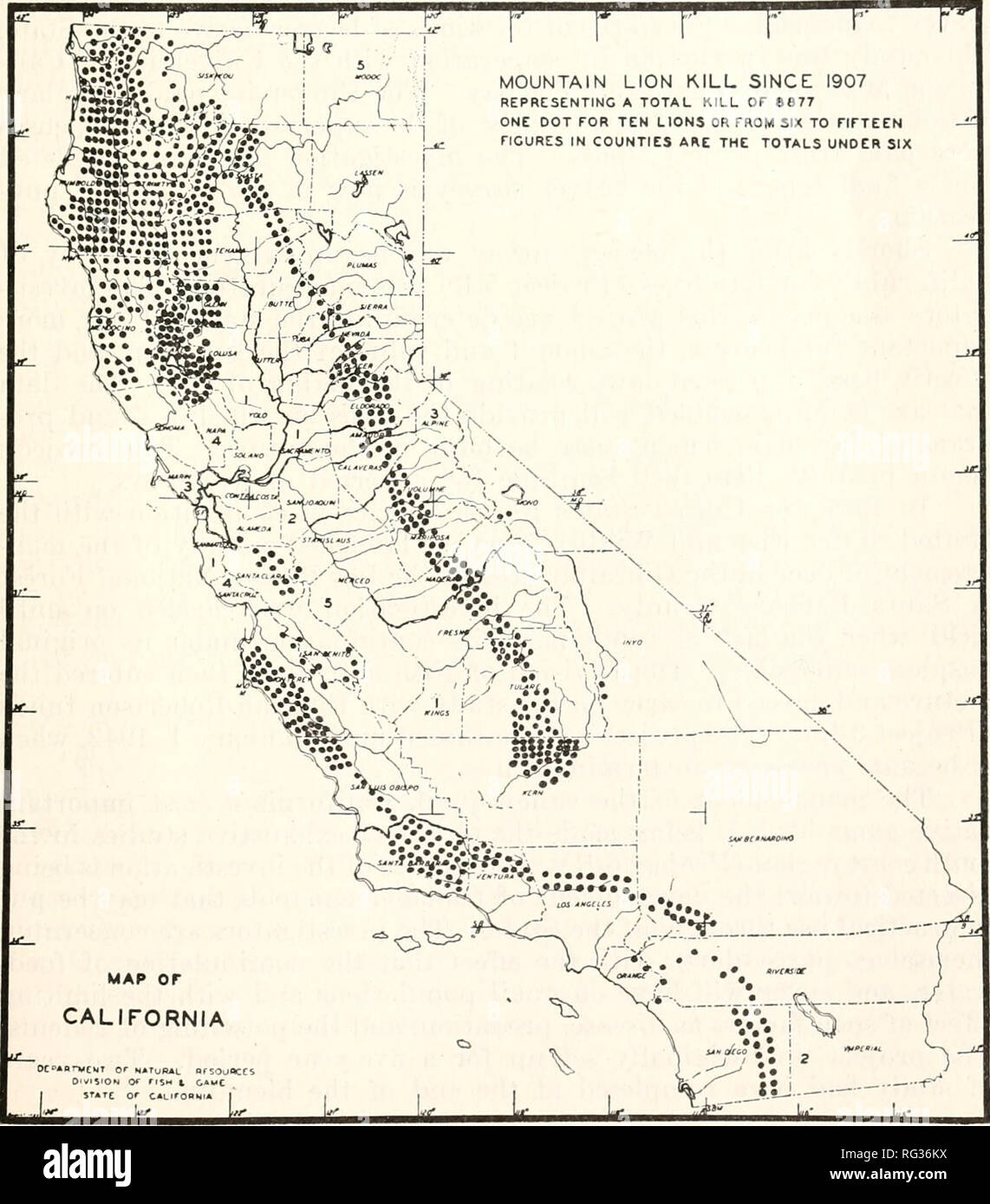 . California a base di pesce e selvaggina. Pesca -- California; gioco e gioco-uccelli -- California; Pesci -- California; popolazione animale gruppi; Pêches; Gibier; Poissons. Trentasettesima RELAZIONE BIENNALE 37 lungo questa linea sono state vietate. Riteniamo tuttavia che vi è stato sviluppato un metodo di protezione di raccolto da anatre che sarà generalmente soddisfacente quando le condizioni lo permettono il suo utilizzo. Animali predatori durante gli anni 1940-41 la divisione pagati premi su 471 moun- tain lions portando il totale sin dalla nascita del lion bounty nel 1907 a 8,877. Più della metà, 4,446, sono stati uccisi in t Foto Stock