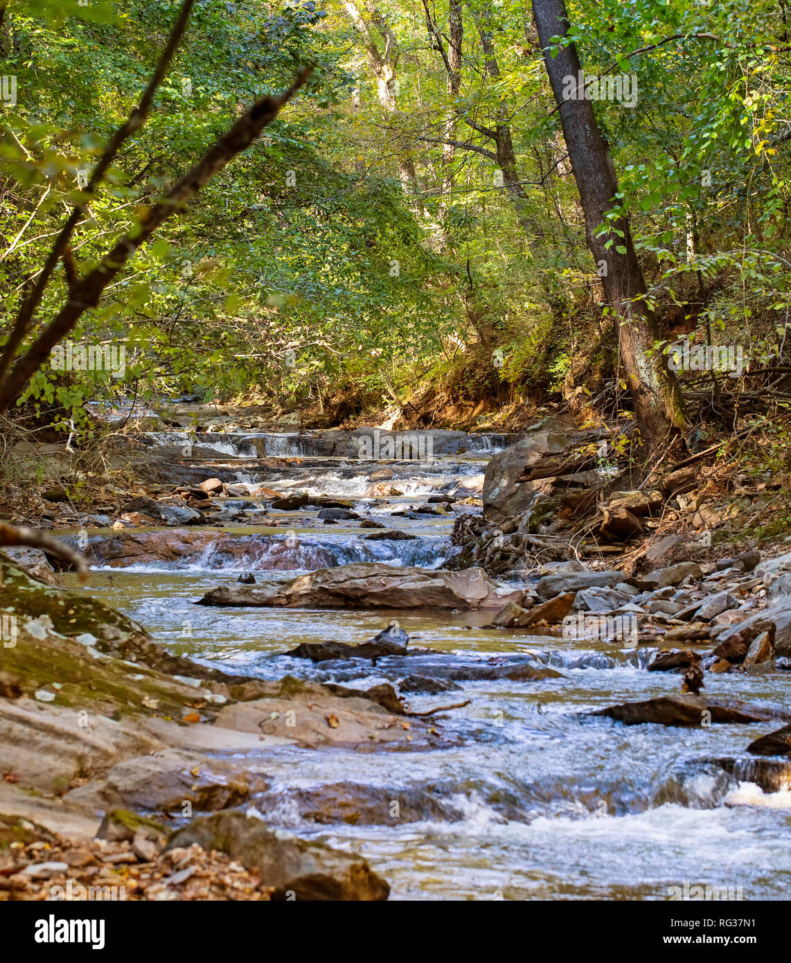 Diga di pesce Creek cade in discesa su roccia. Foto Stock
