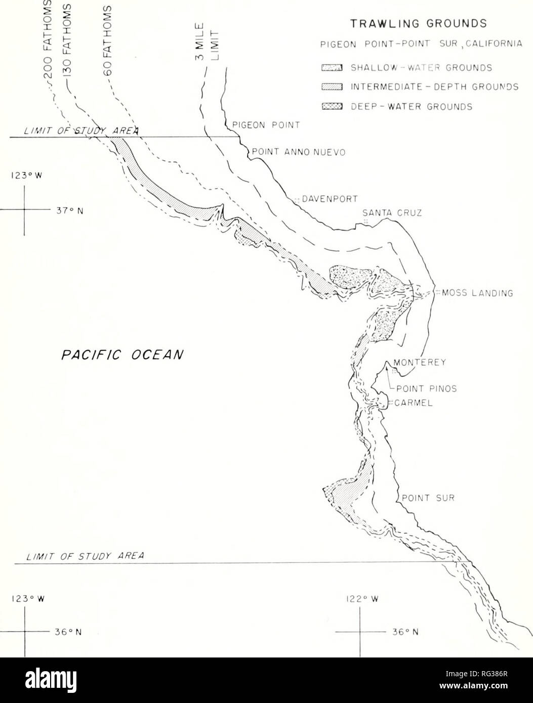 . California a base di pesce e selvaggina. Pesca -- California; gioco e gioco-uccelli -- California; Pesci -- California; popolazione animale gruppi; Pêches; Gibier; Poissons. MONTEREY BAY A STRASCICO 153 MOTIVI DI PESCA A STRASCICO Pigeon Point-POINT SUR , CALIFORNIA f^T:* di bassifondi motivi rT-l intermedia - Profondità motivi (^&GT;io?:i profondi motivi di acqua '^.-:Vr^'.'ig^-;M'l4-.'( MOSS LANDING. La figura 1. Principali motivi della pesca a strascico in Monterey Boy area. Descrizione generale della pesca otto navi per la pesca a strascico, basata a iMonterey Bay porti, pescato durante 19GU, ma solo cinque ha lavorato in modo coerente in tutta l'anno. Fuur a s Foto Stock