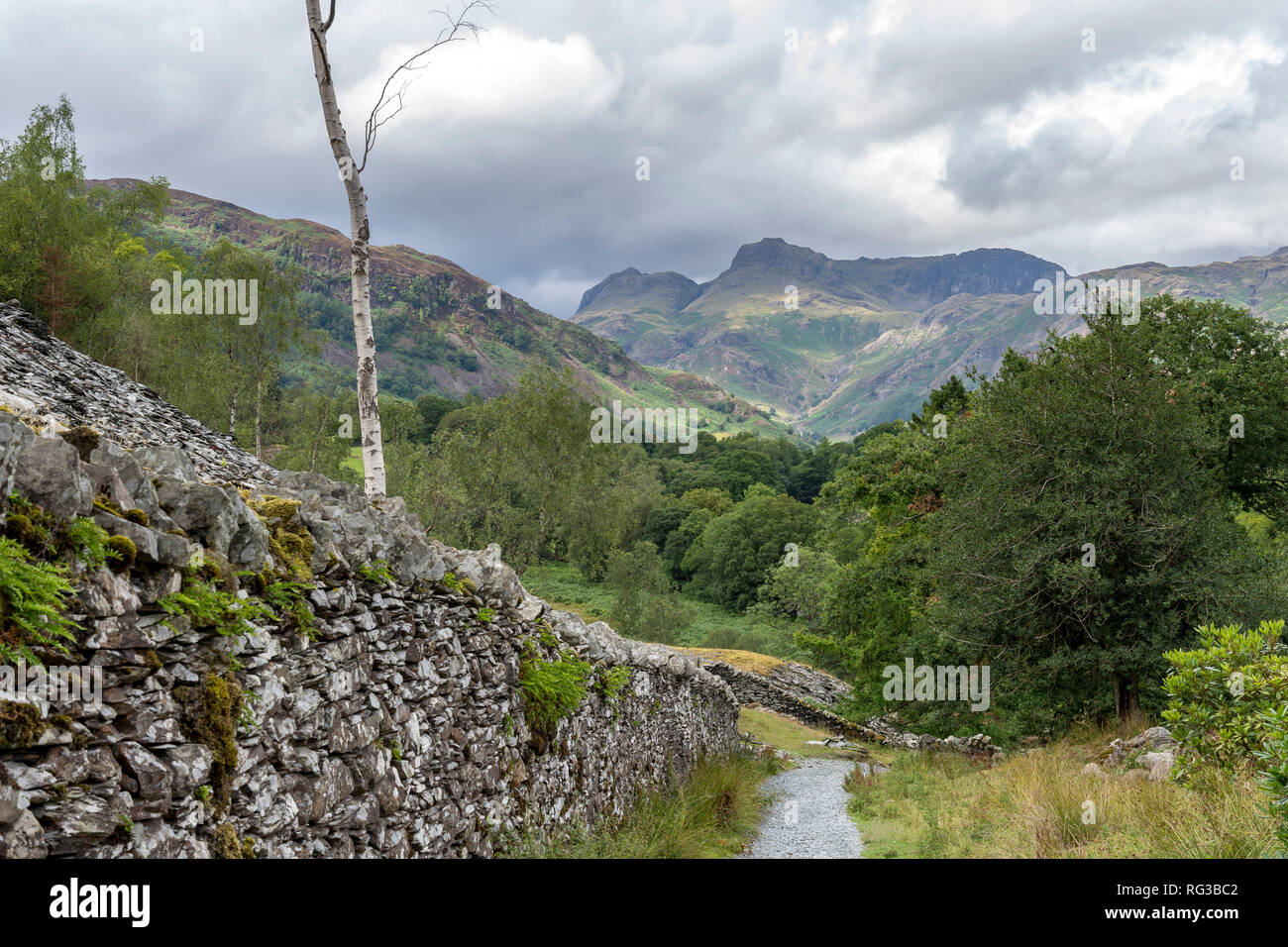 Lake District North West England Regno Unito prendendo in fells di di The Langdale Valley con sentieri pubblici e pareti di pietra lungo il percorso Foto Stock