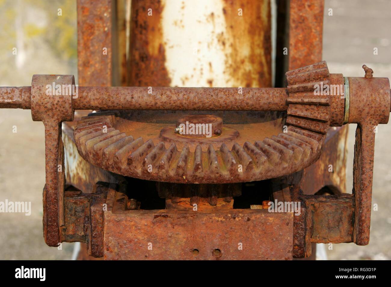 DEU, Germania : rusty ruota dentata. Foto Stock