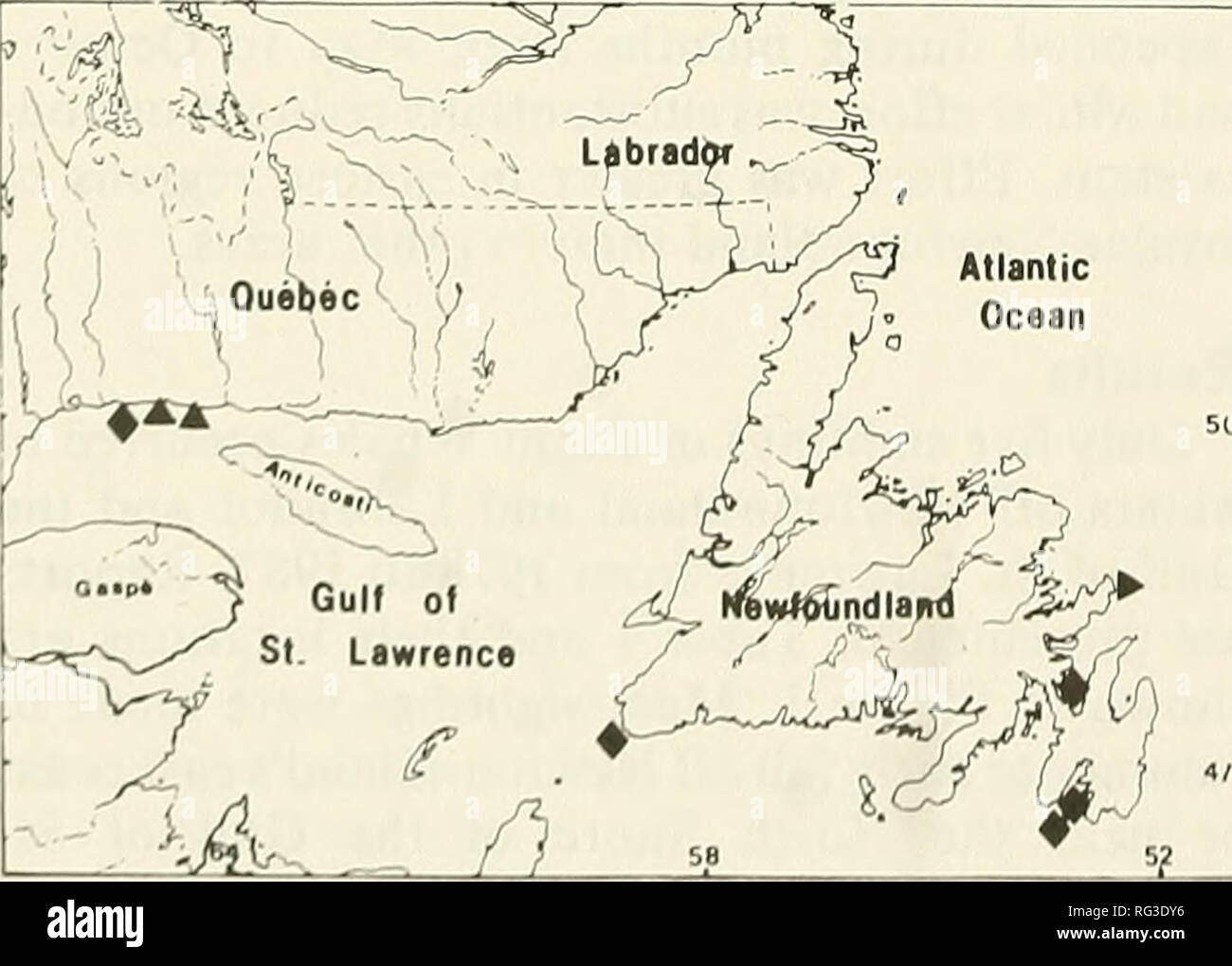 . Il campo Canadese-naturalista. 92 Il canadese Field-Naturalist Vol. 103 Tabella 1. A destra (Balena Eubalaena glacialis) avvistamenti in Terranova e Labrador acque (1978-1987). Data(s) visto dalla latitudine / longitudine 10-21 luglio 1978 MUN1 47°05'N; 53°49'W Norman's Cove, Trinity Bay 25 agosto 1979 DFO2 47°00'N; 53°45'W St. Mary's Bay 6 ottobre 1981 MIC3 50°11'N;65°06'W Volpoca, North Shore Quebec 17 febbraio 1984 MUN 47°33'N;59°10'W testa di canale, Port aux Basques 26-28 luglio 1984 MUN 46°45'N; 53°38'W Pietro River, Holyrood Bay 'Memorial università di Terranova. 2Dipartimento Canadese di Foto Stock