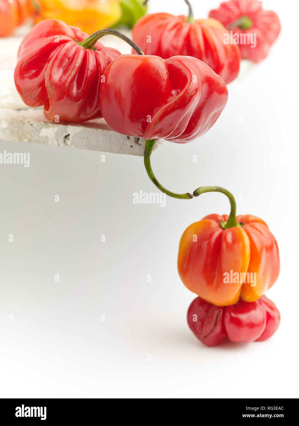 Colorato Scotch Bonnet peperoni contro uno sfondo bianco, cibo still-life fotografia Foto Stock